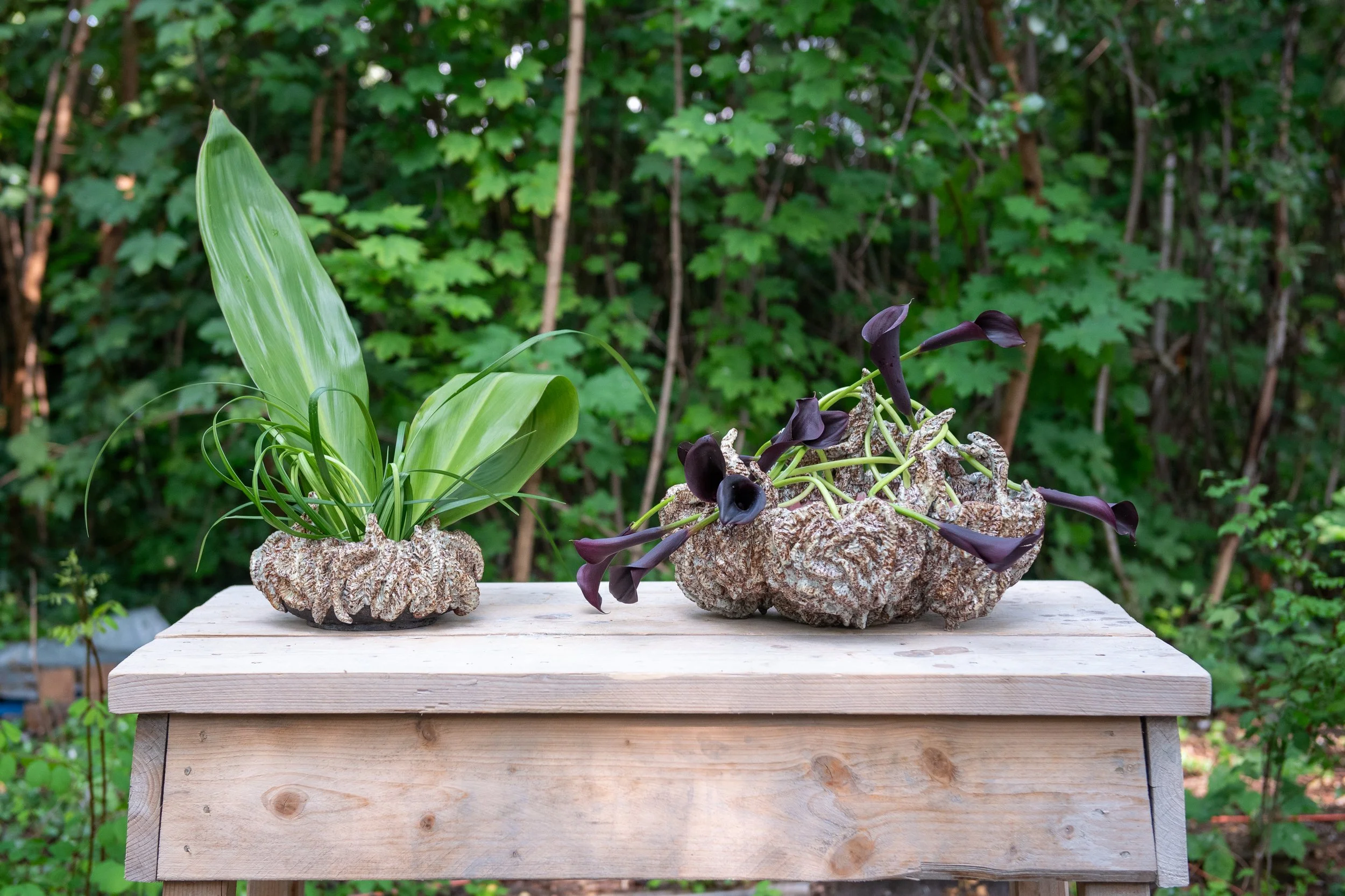 Old Friends Meet again - exhibition curated by Julia Oram 