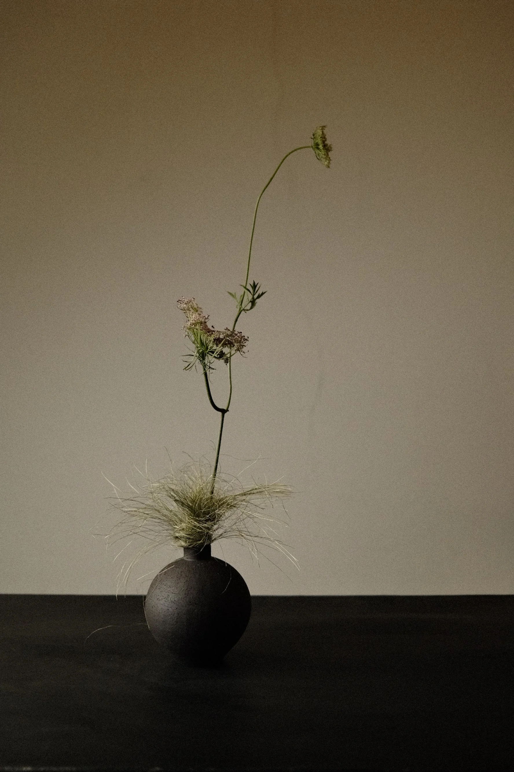 DSCF6352.jpg