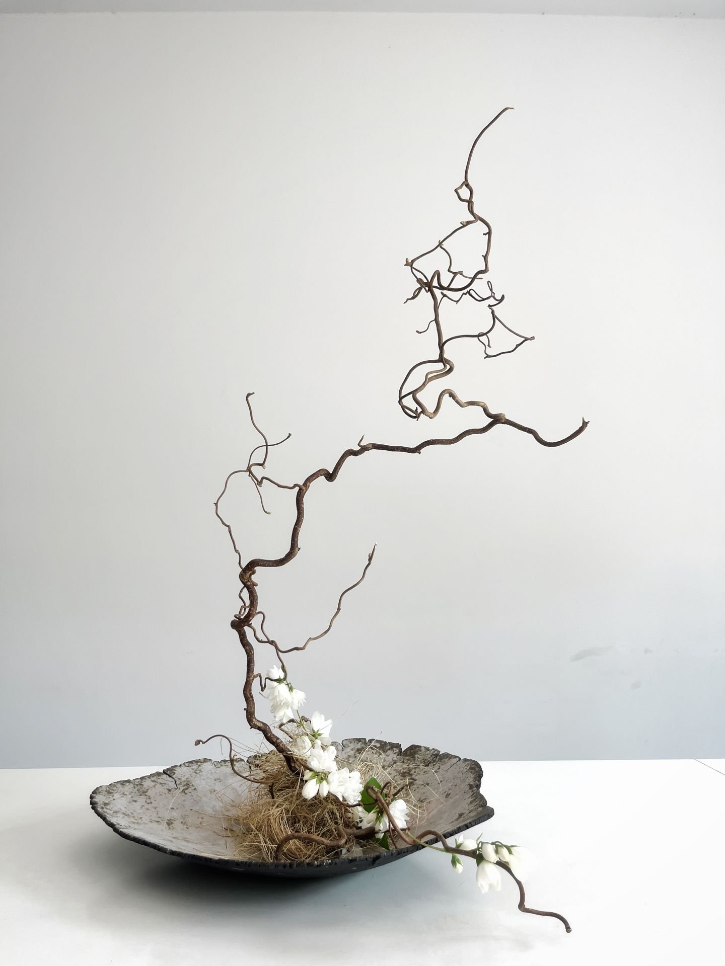 Artistic Collaboration w Feier Wang