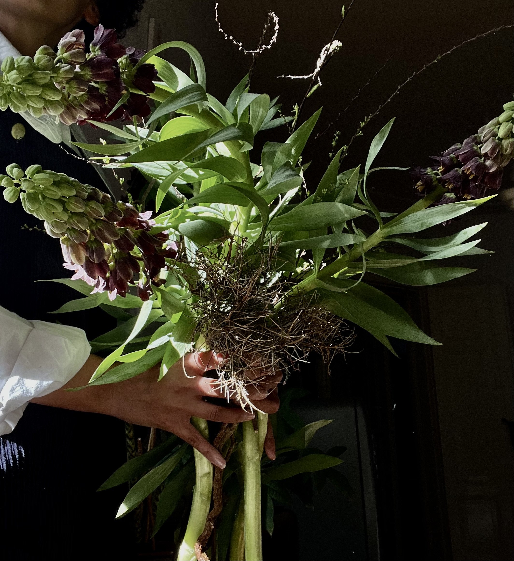 For UUU fine dining restaurant 2024