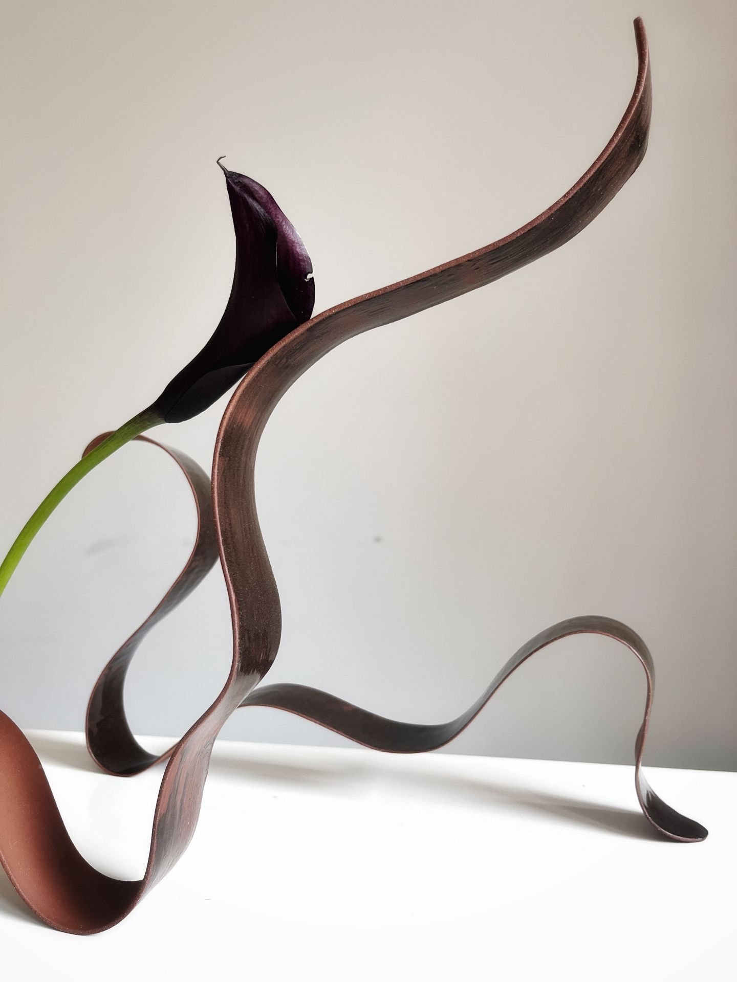 Artistic Collaboration w Feier Wang