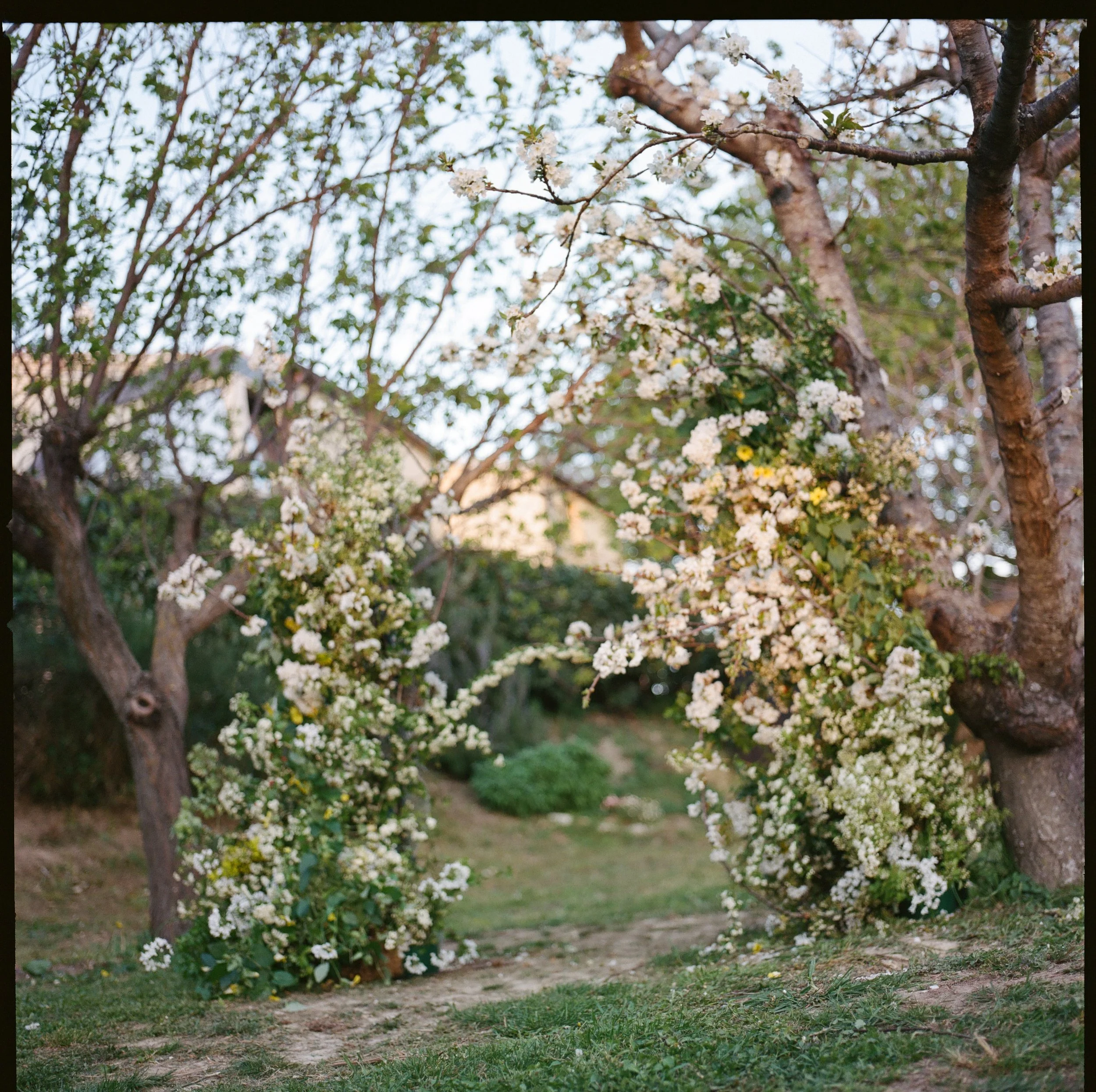 Wedding set up in Italy,  march 2024