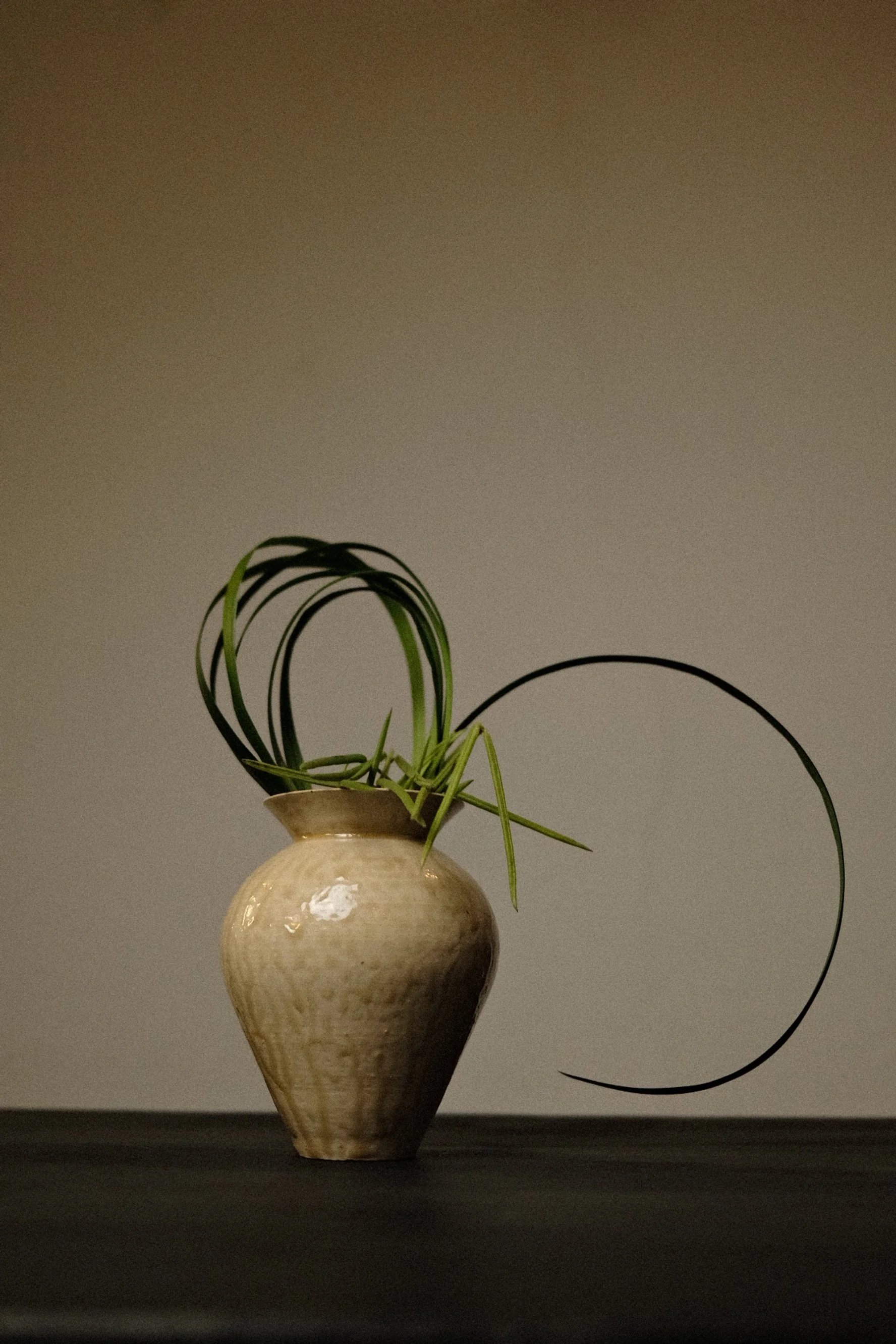 DSCF6342.jpg