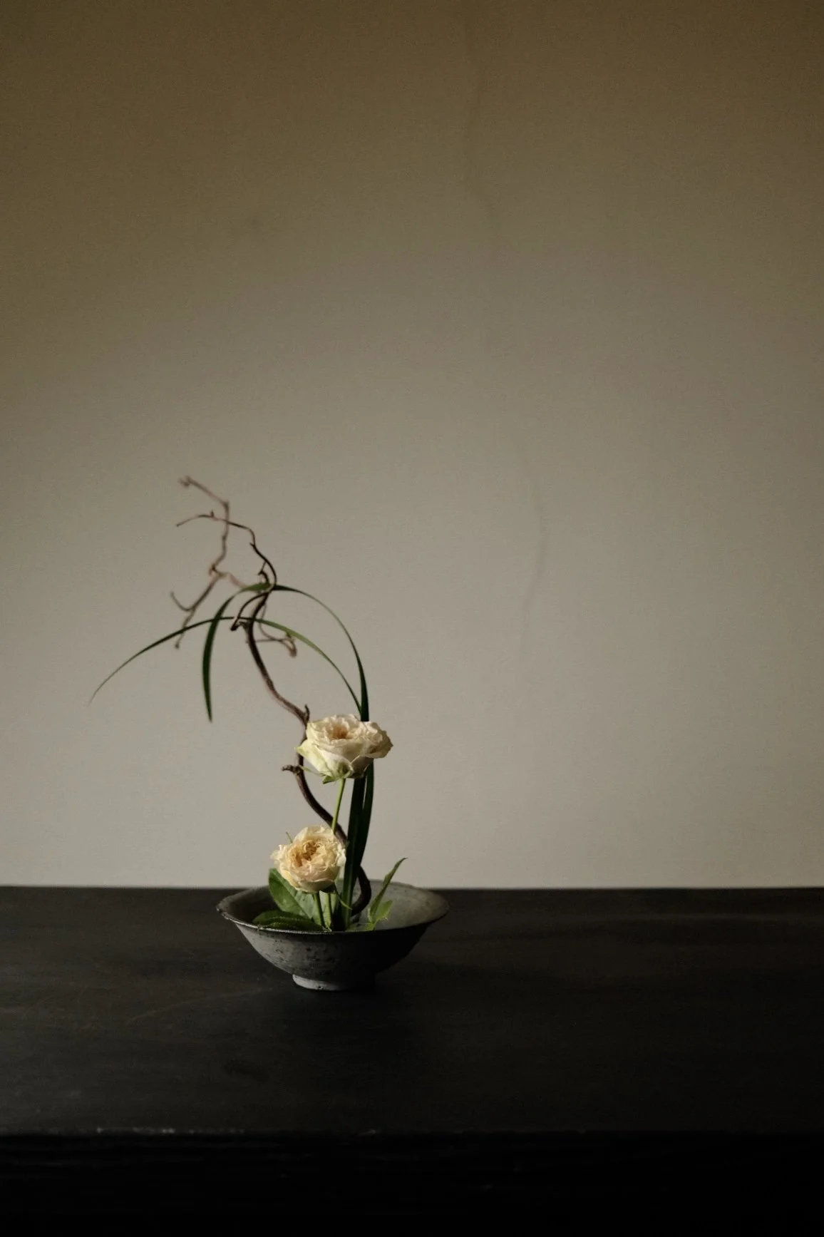 DSCF6278.jpg