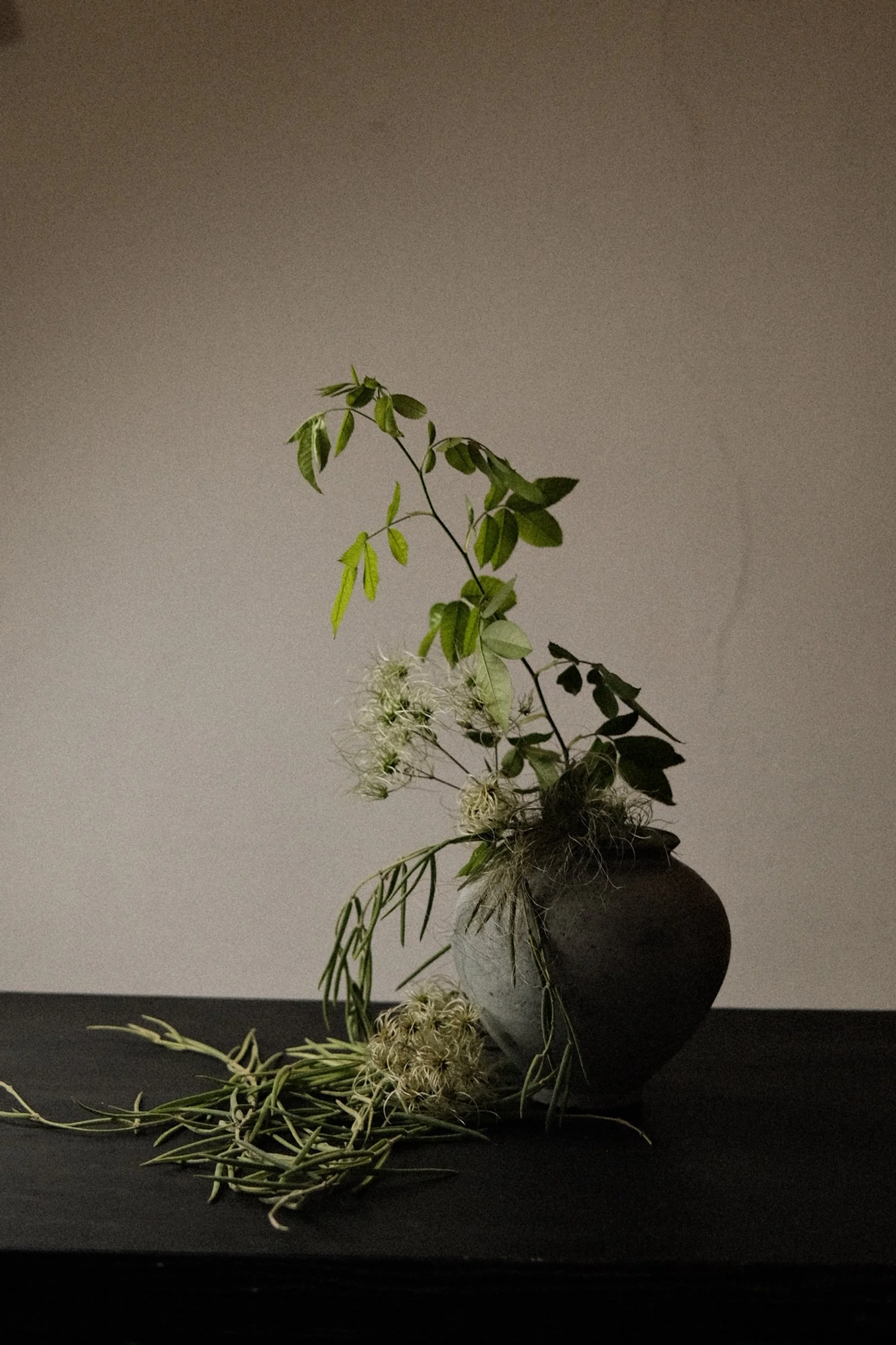 DSCF6218.jpg