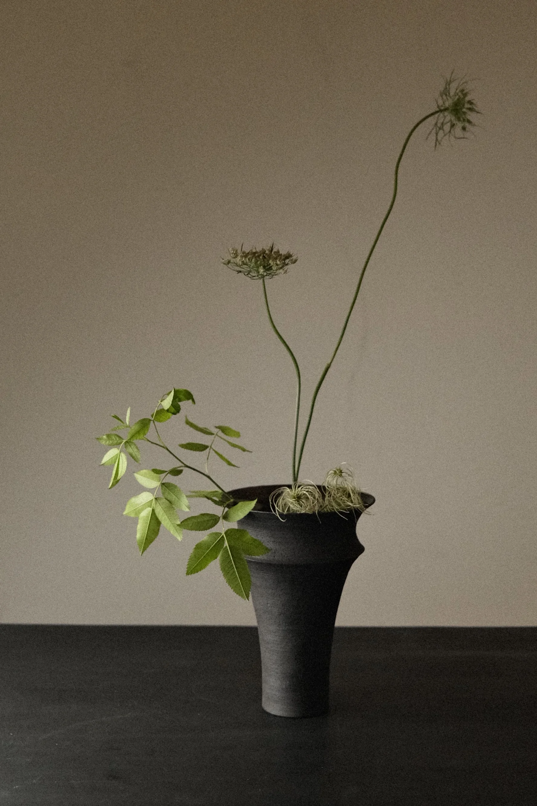 DSCF6314.jpg