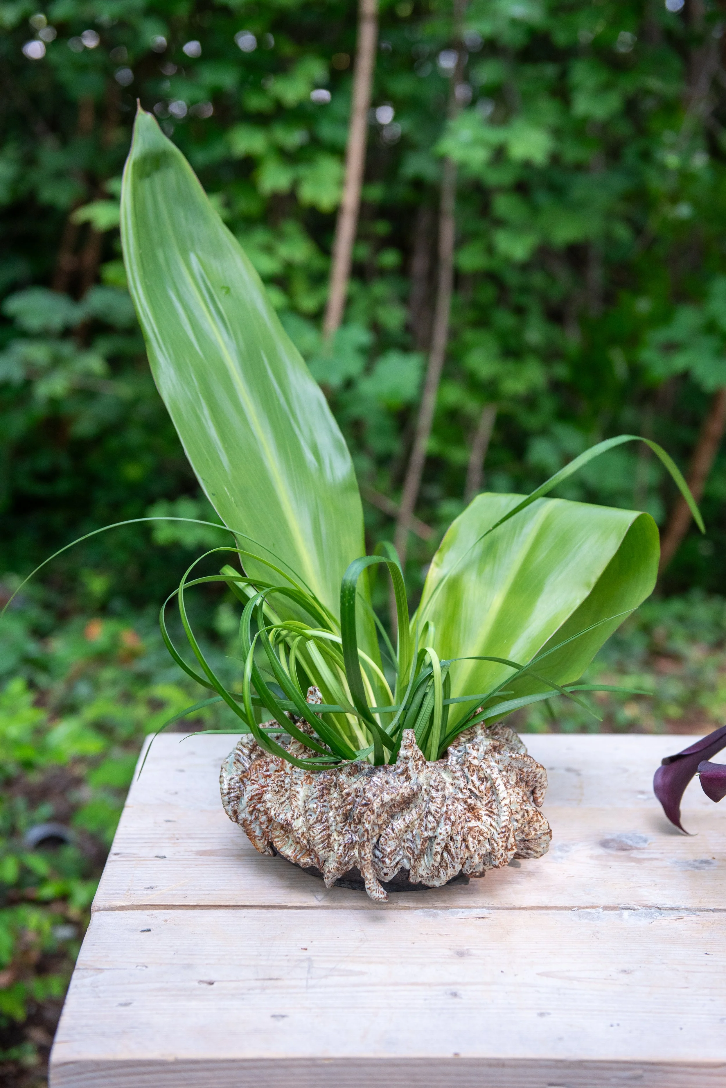 Old Friends Meet again - exhibition curated by Julia Oram 