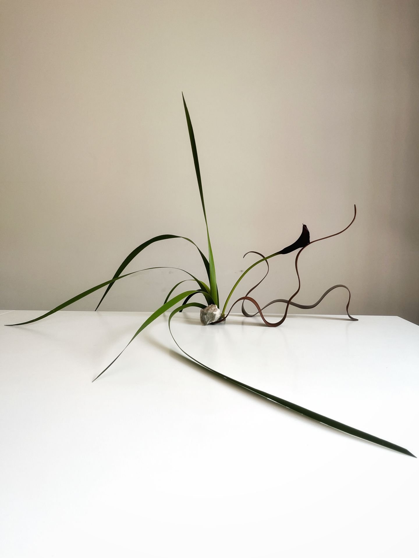 Artistic Collaboration w Feier Wang