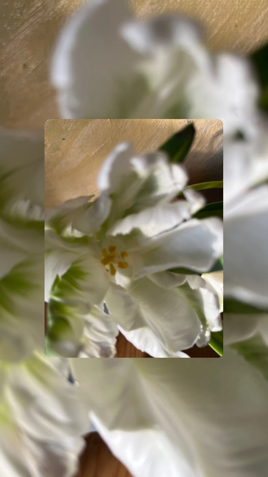 Wedding set up in Italy,  march 2024