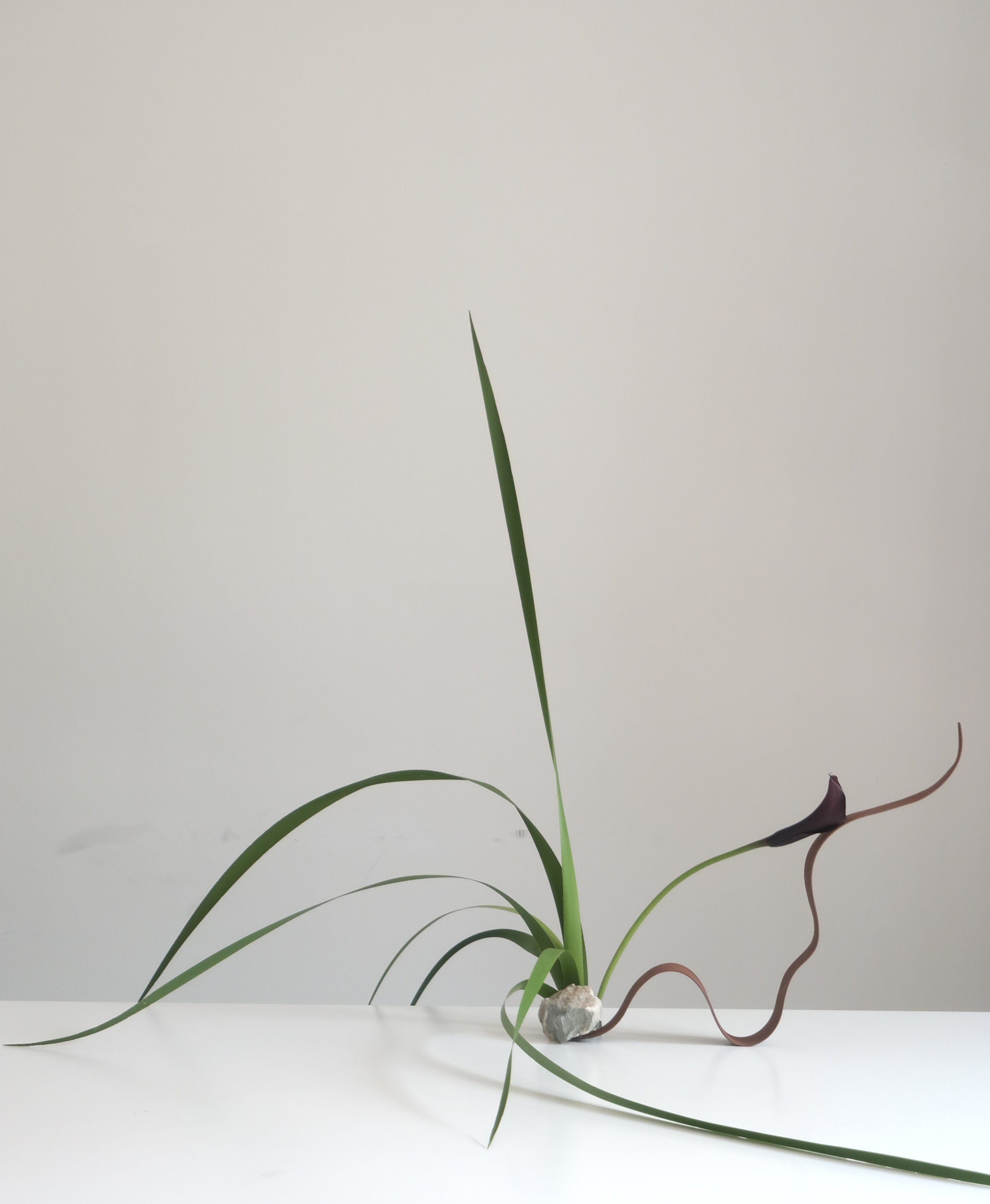 Artistic Collaboration w Feier Wang