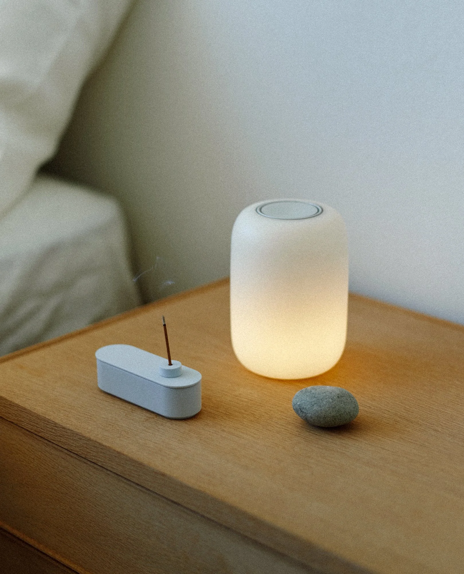 Casa BRUTUS (Special Mook)