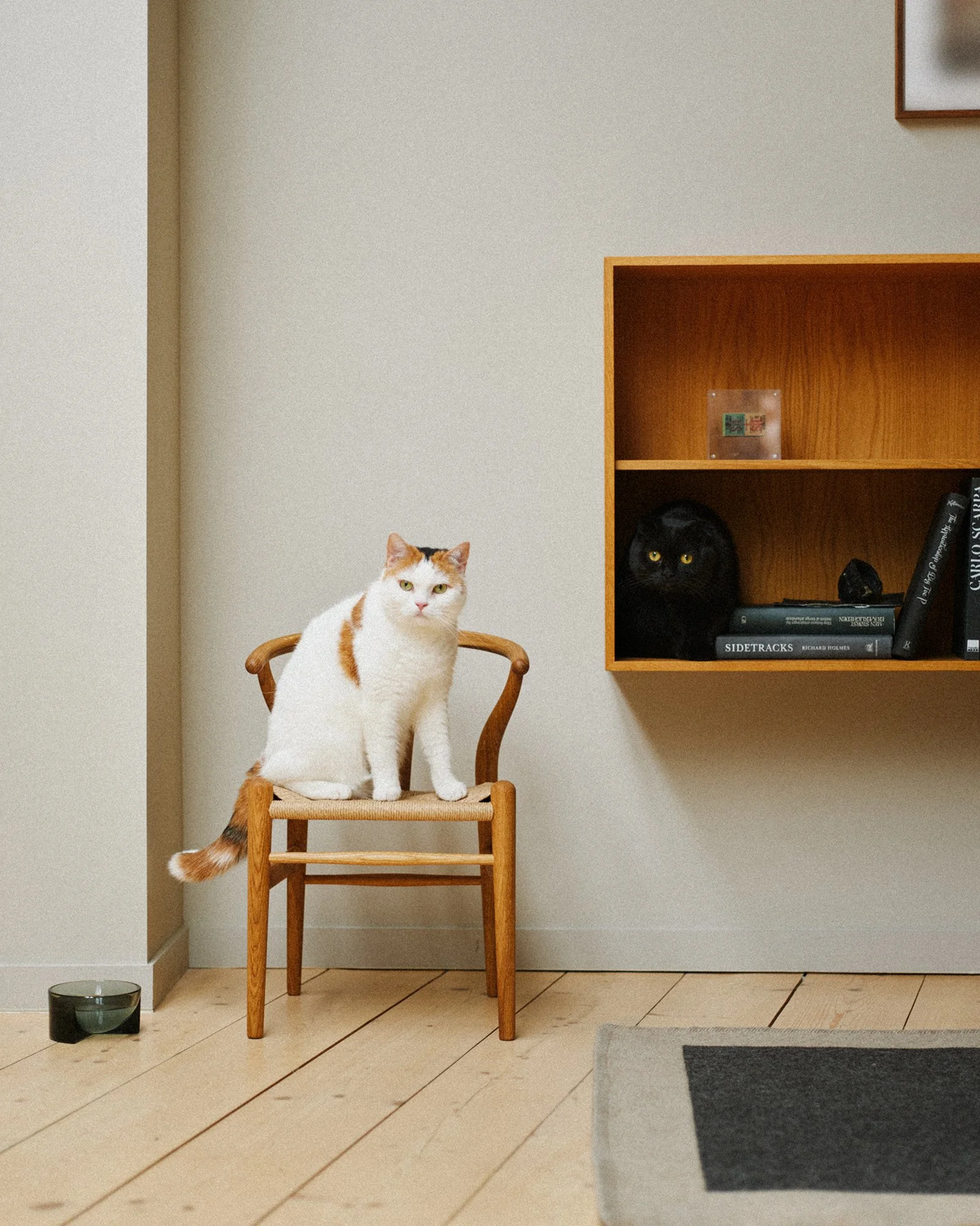 Casa BRUTUS (Digital Feature)