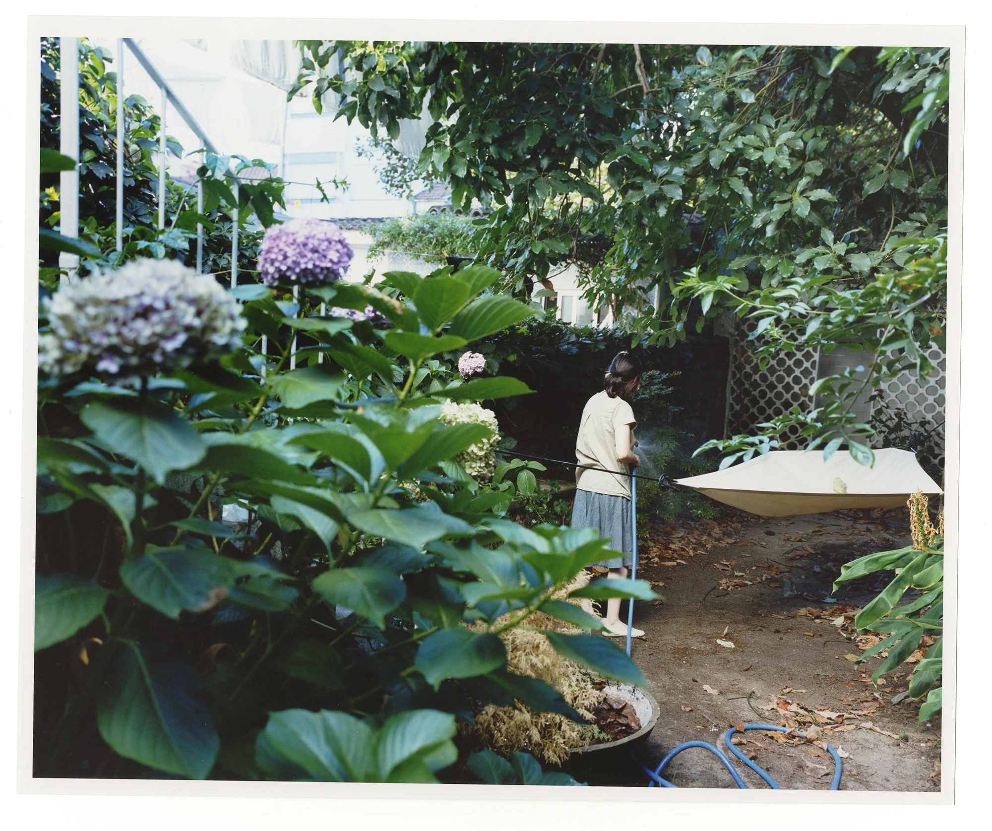 06.jpg