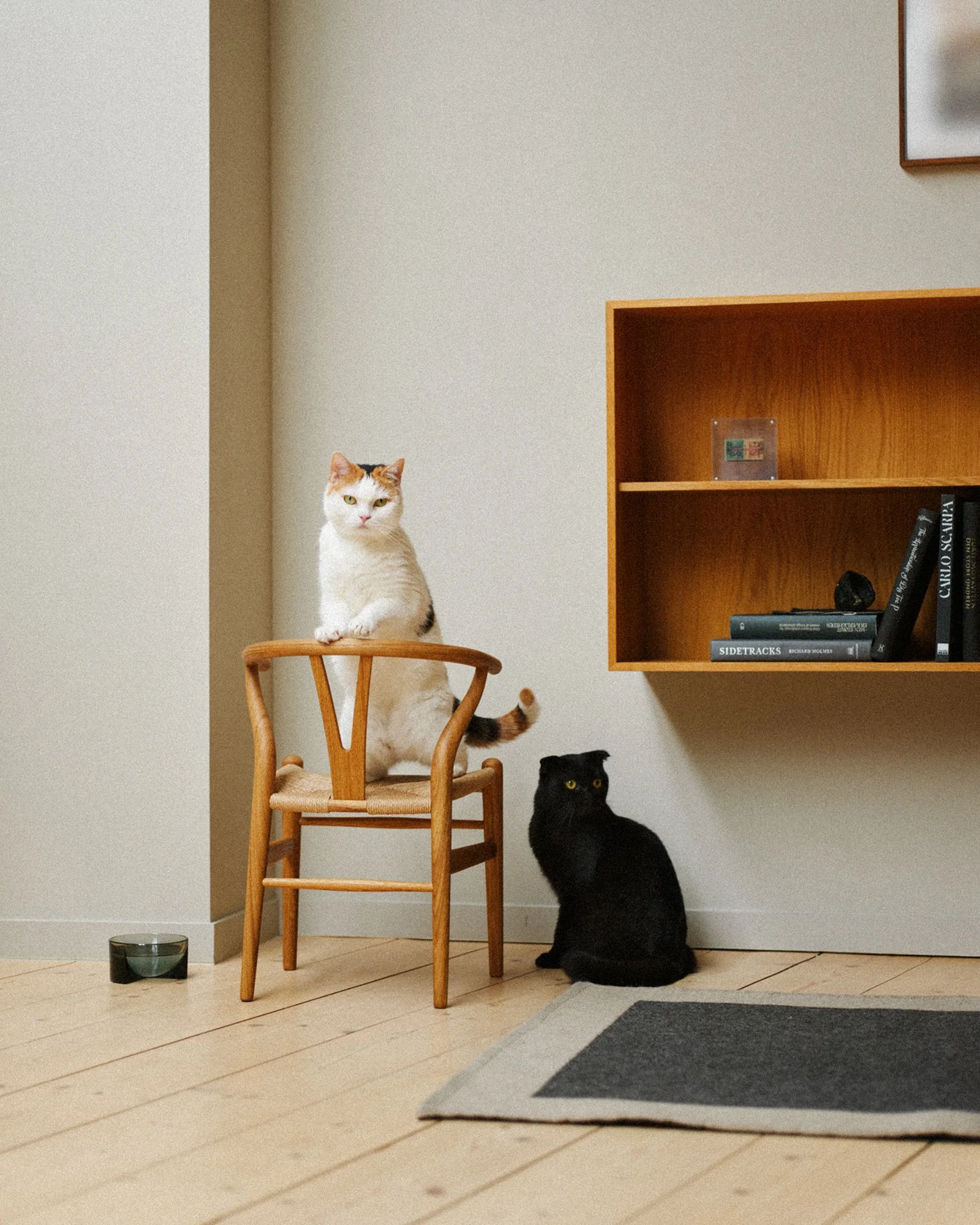 Casa BRUTUS (Digital Feature)