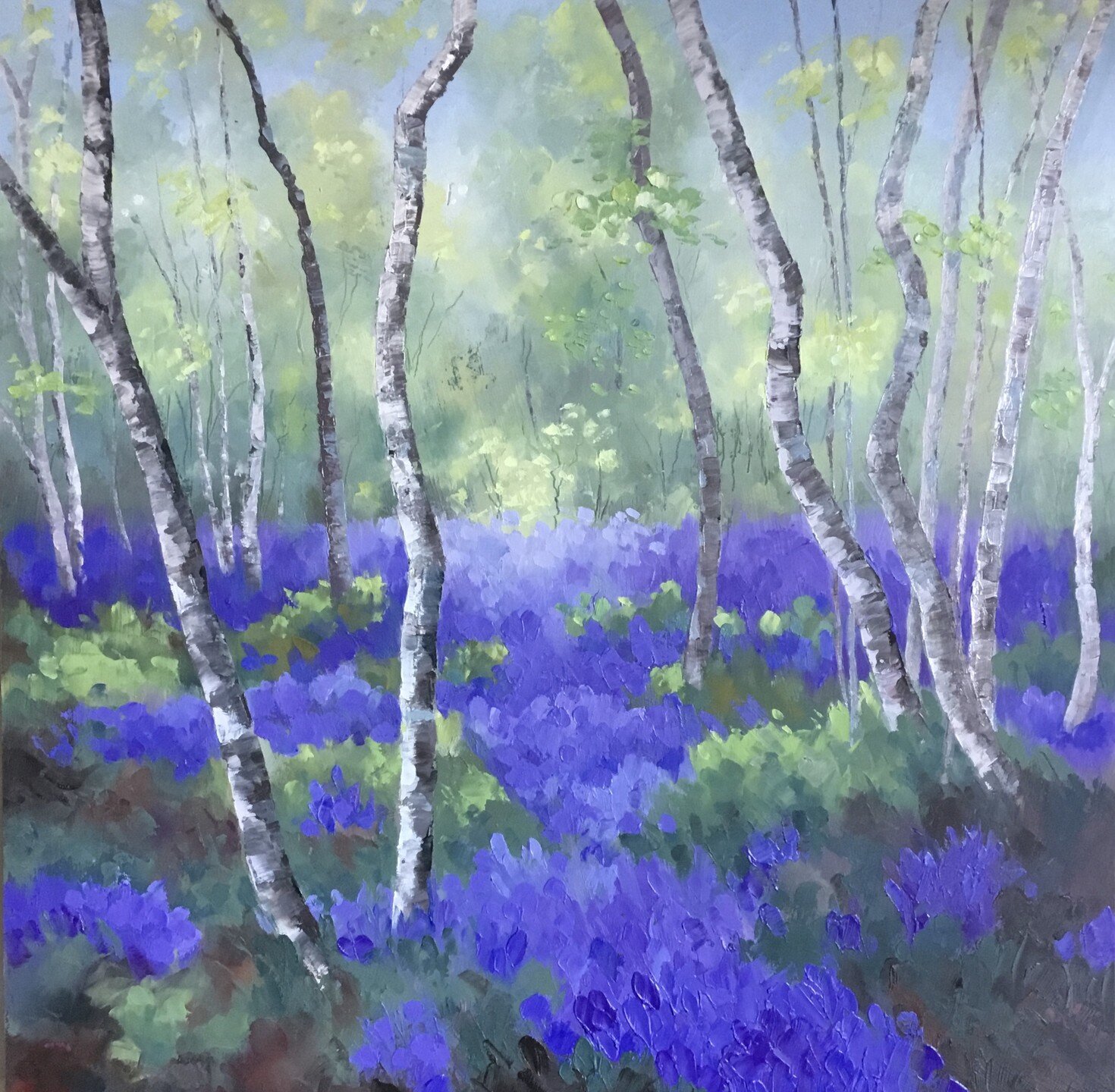 &quot;Bluebell Wood&quot; by Virginia Whiting
