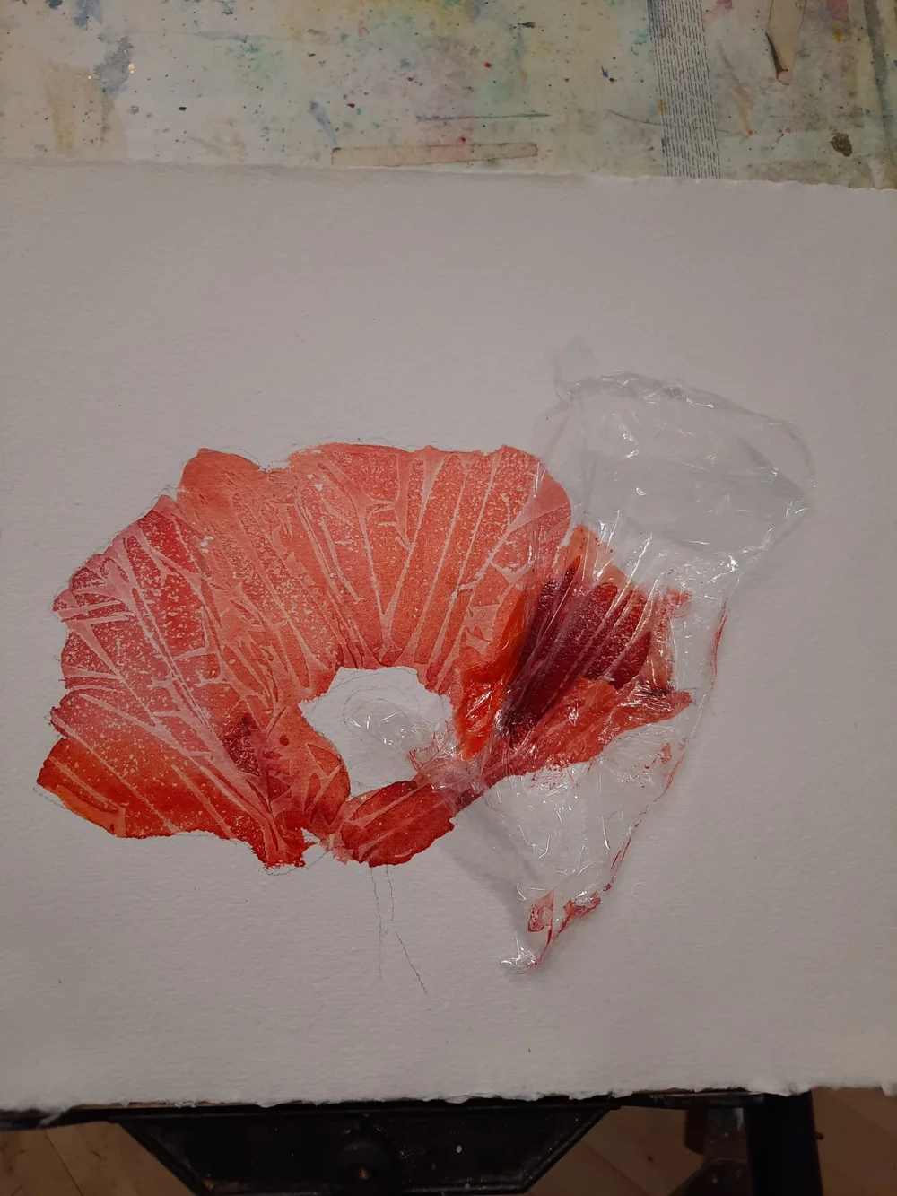 WhatsApp Image 2025-07-20 at 19.55.16.jpeg