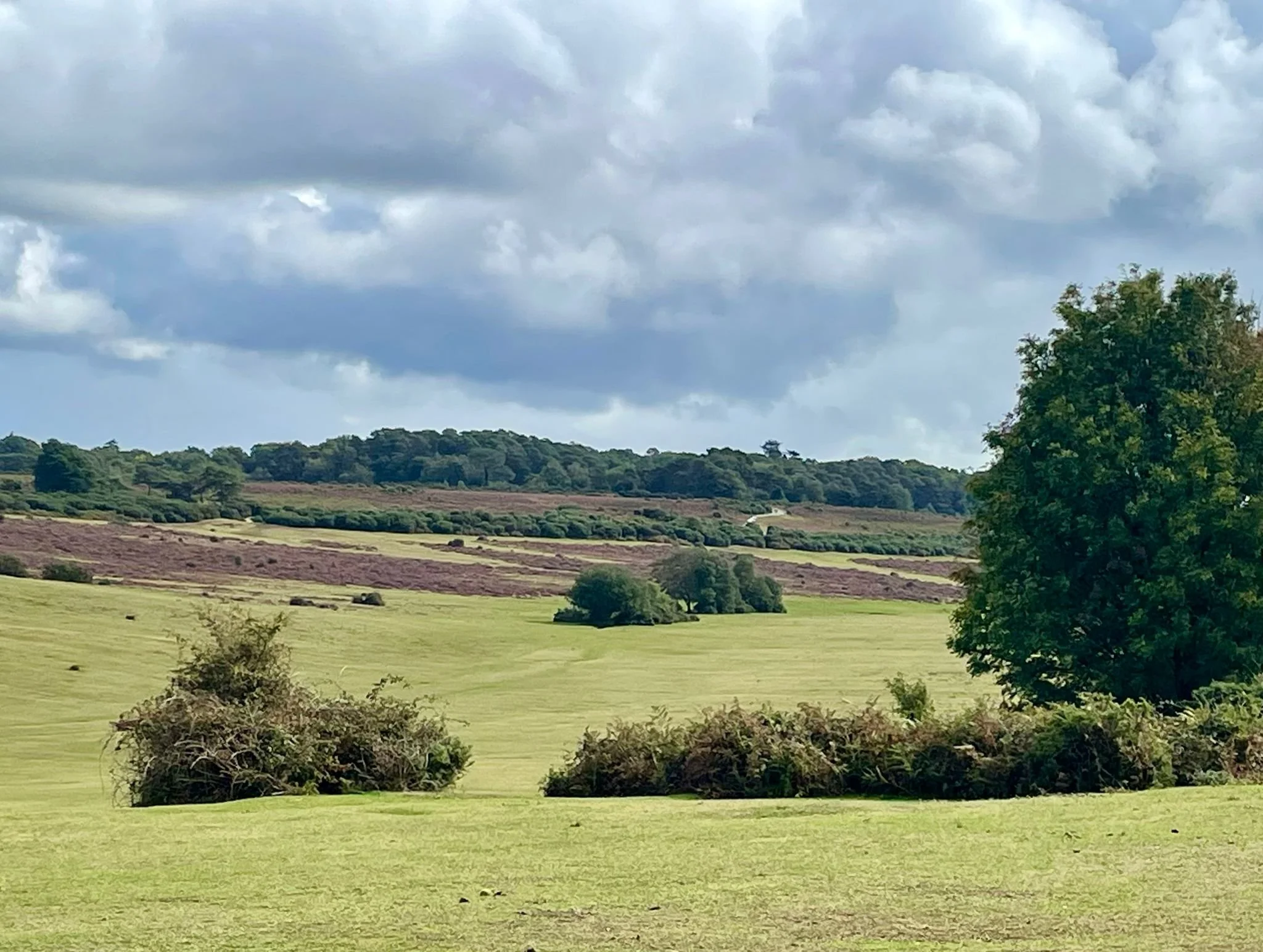 WhatsApp Image 2025-09-10 at 16.56.18-3.jpeg