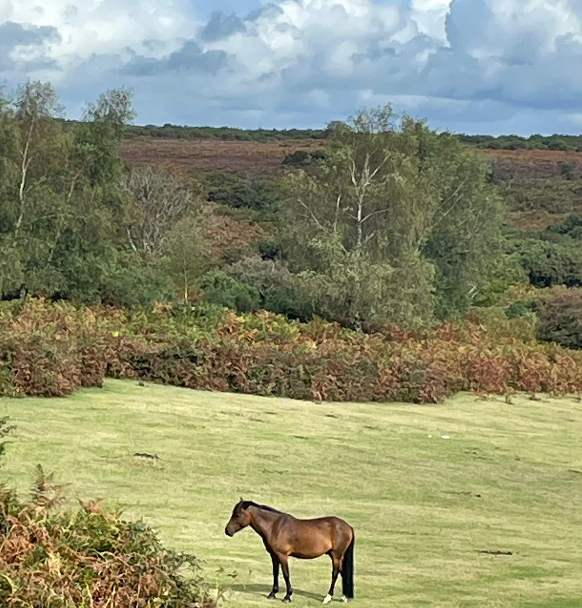 WhatsApp Image 2025-09-10 at 16.56.18.jpeg