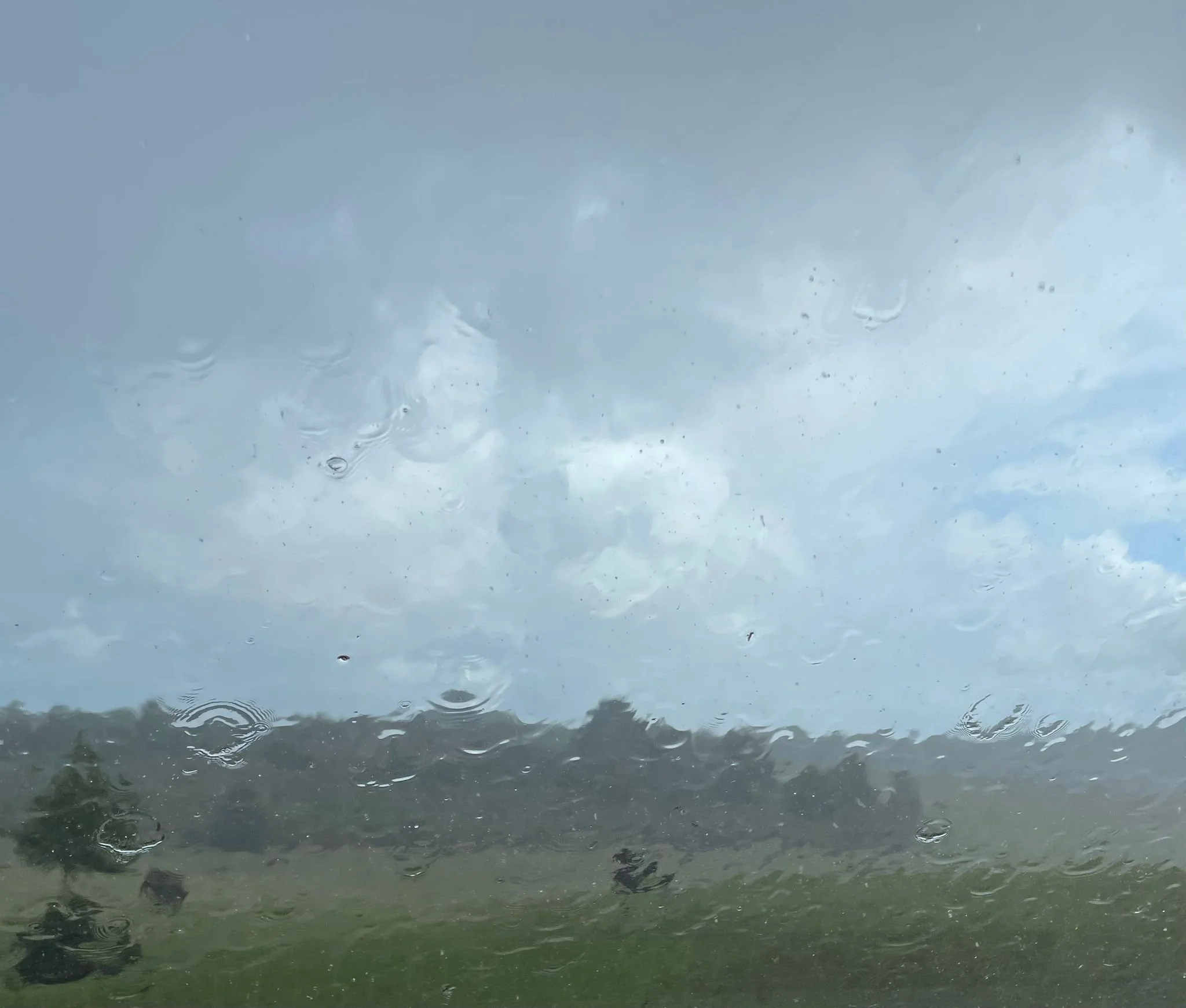 WhatsApp Image 2025-09-10 at 16.56.19-2.jpeg