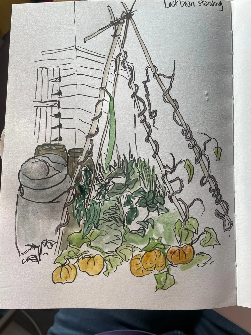 WhatsApp Image 2025-10-01 at 17.07.14.jpeg