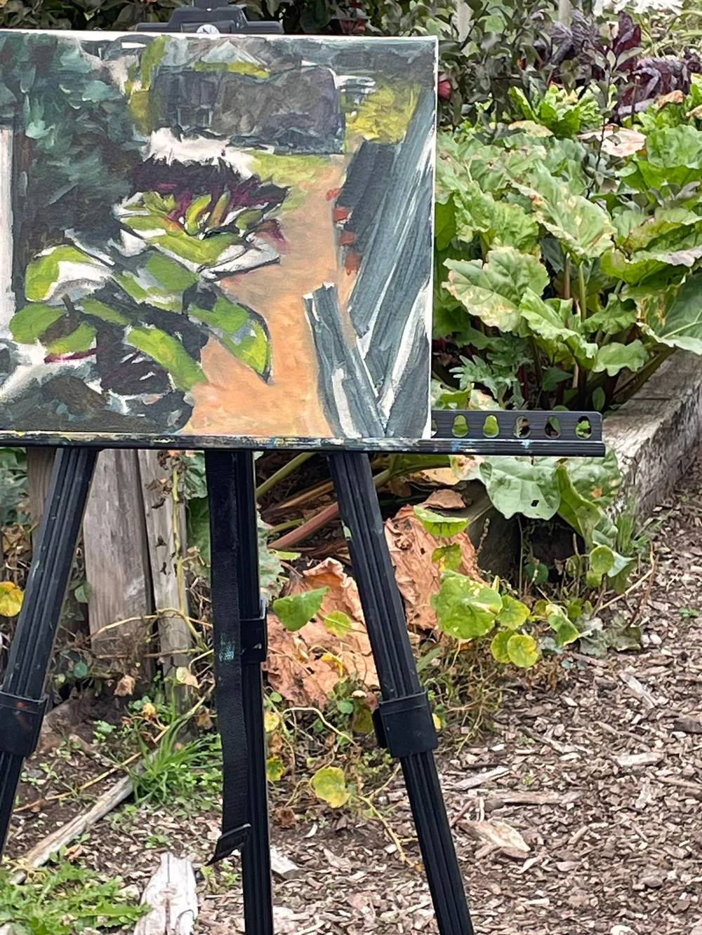 WhatsApp Image 2025-10-01 at 17.08.27.jpeg