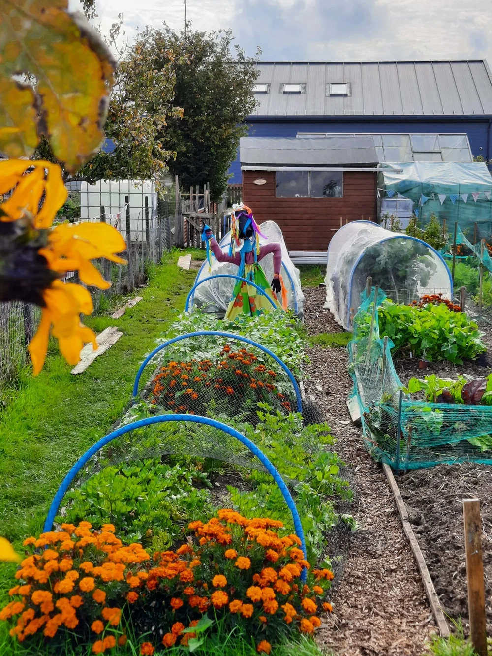 WhatsApp Image 2025-10-06 at 20.10.19.jpeg