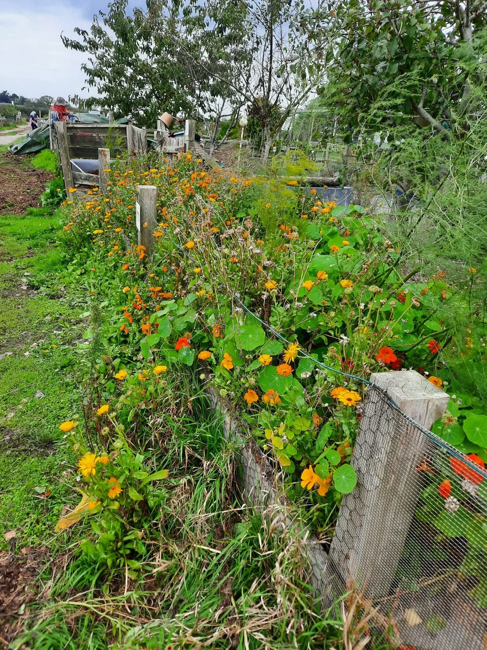 WhatsApp Image 2025-10-06 at 20.10.19-4.jpeg