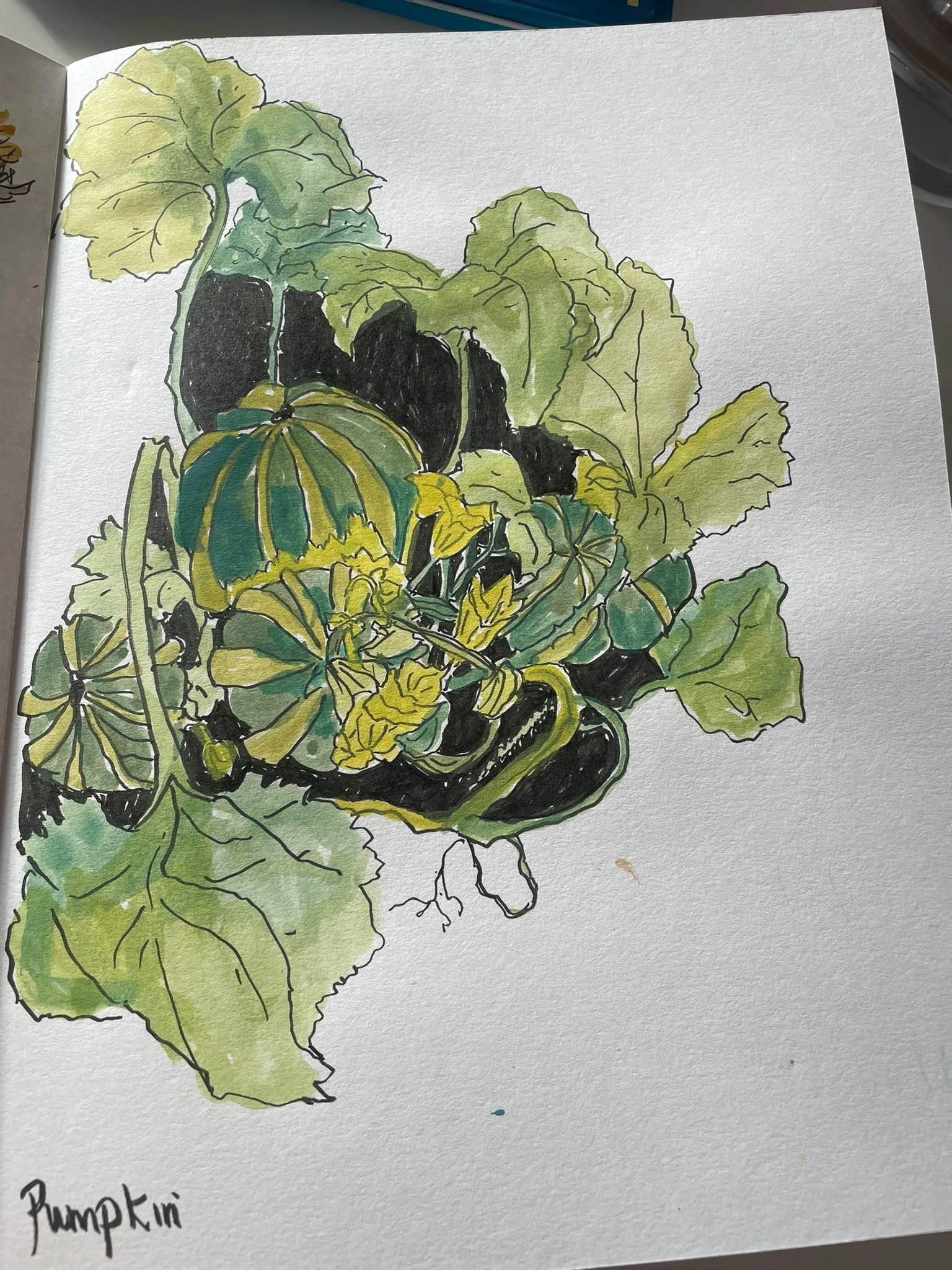 Plein Air: Ringwood Allotments