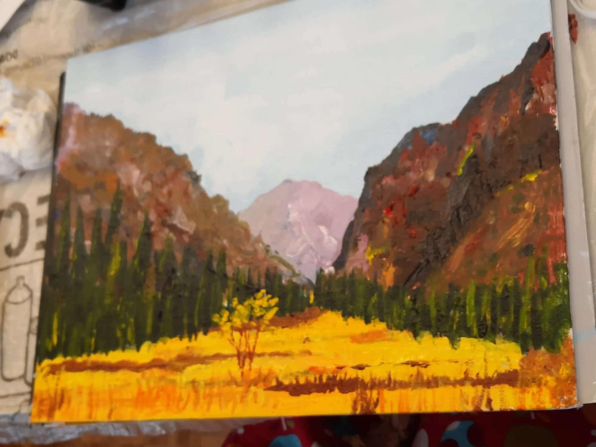 WhatsApp Image 2025-11-29 at 21.17.19-2.jpeg