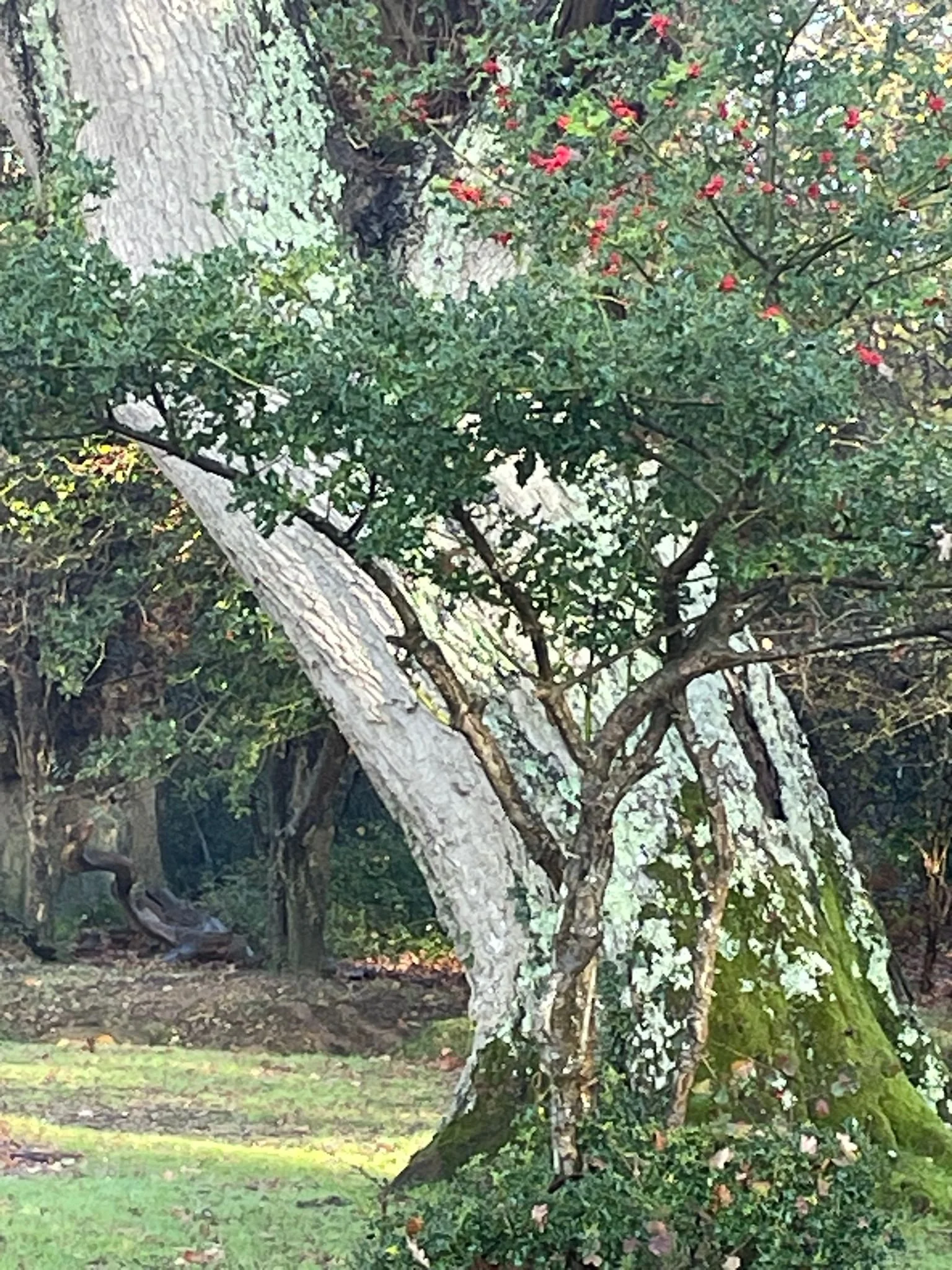 WhatsApp Image 2025-12-03 at 14.34.45-3.jpeg