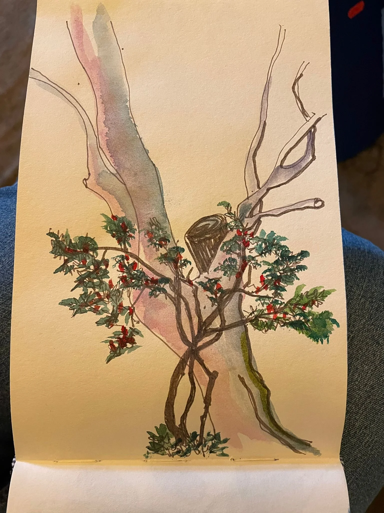 WhatsApp Image 2025-12-03 at 14.34.45-4.jpeg