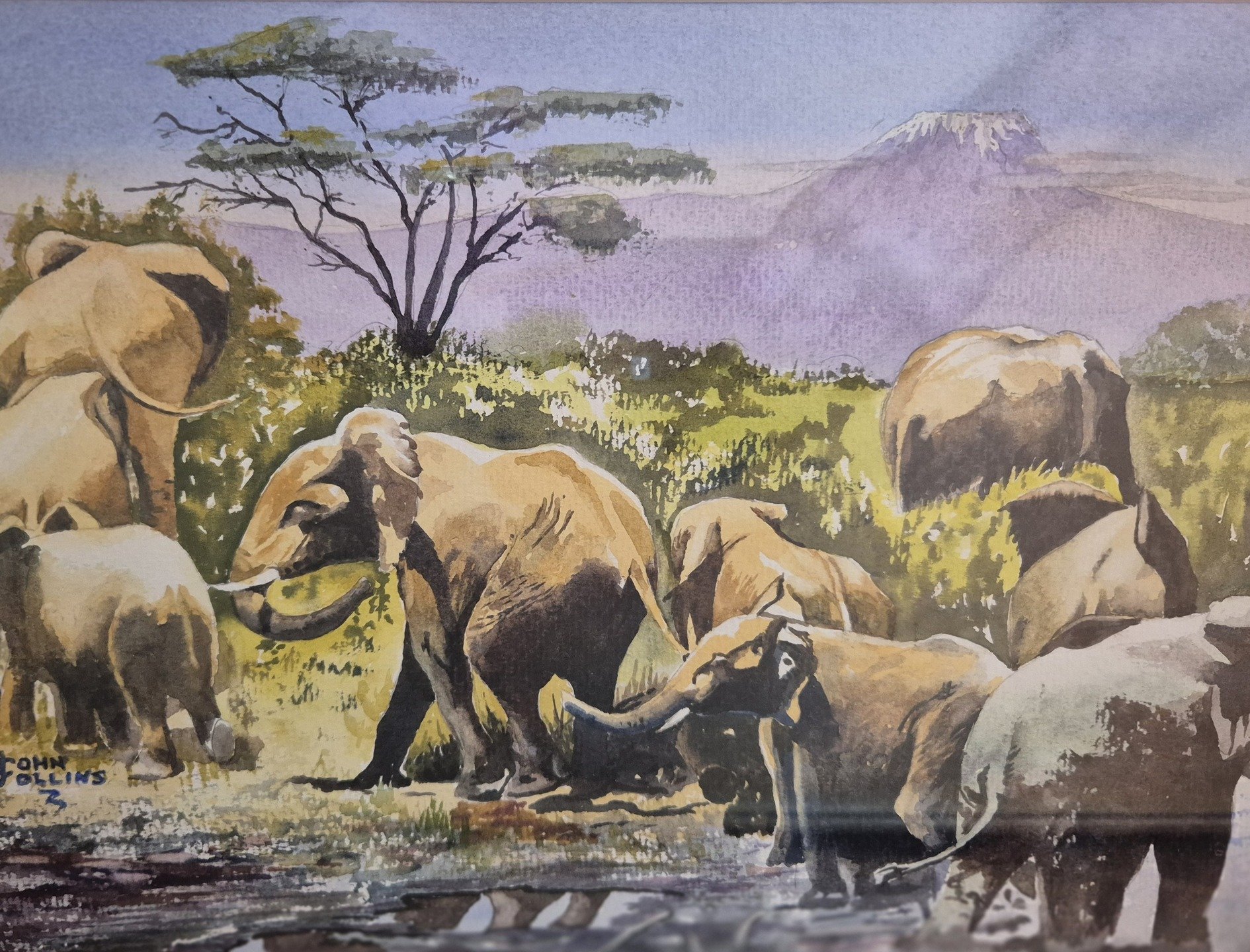 Continuing our annual series of Prize winners from our on-going exhibition at Greyfriars Community Centre in Ringwood - now running until 25th August.

Runner-up of the Greyfriars Trophy for the Best Watercolour - "Kilimanjaro" by John Coll
