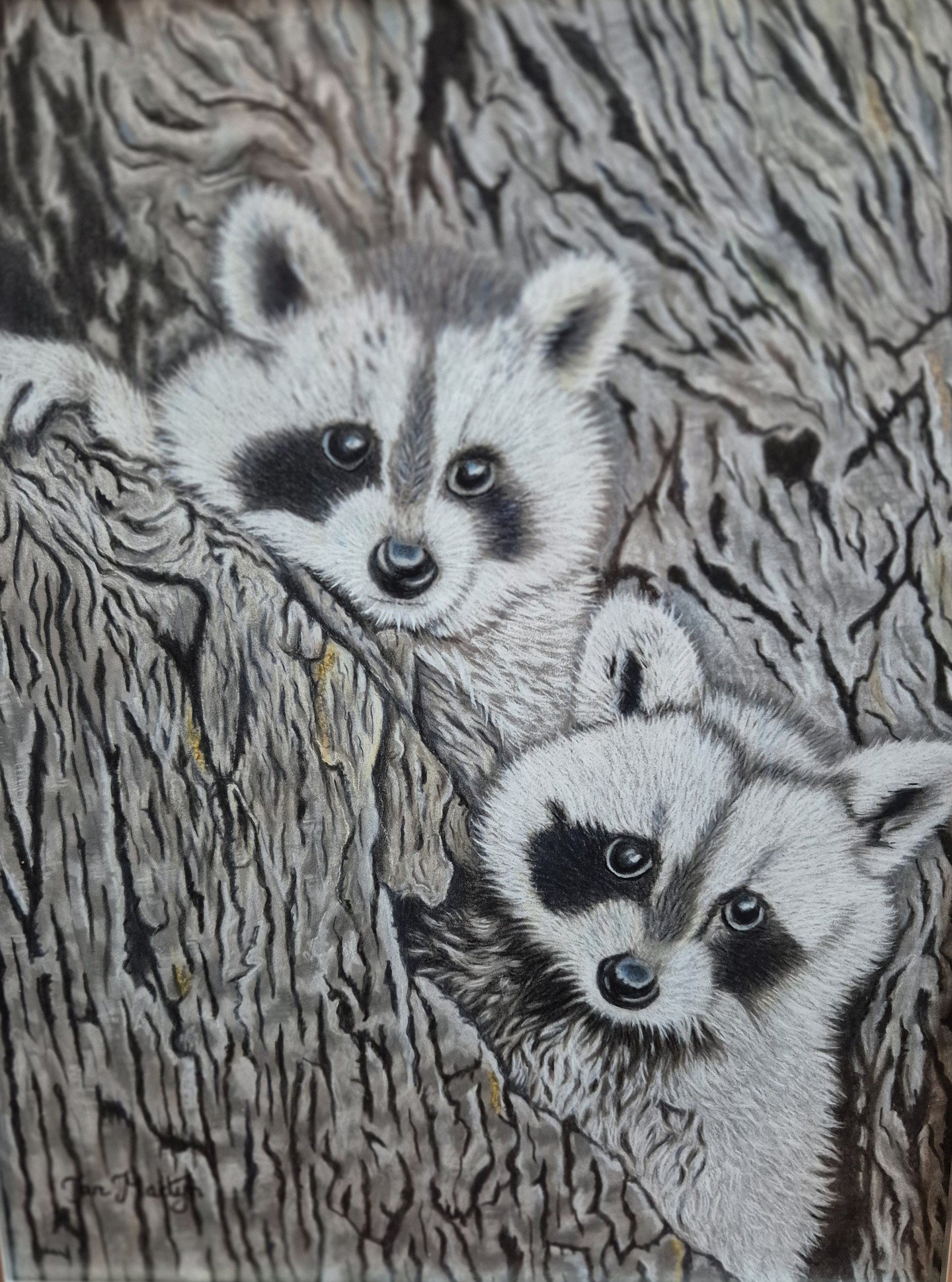 Today it's wildlife and the Ann Squires Trophy for Best Wildlife Painting - Winner Jan Martyn for "Cheeky Chappies"