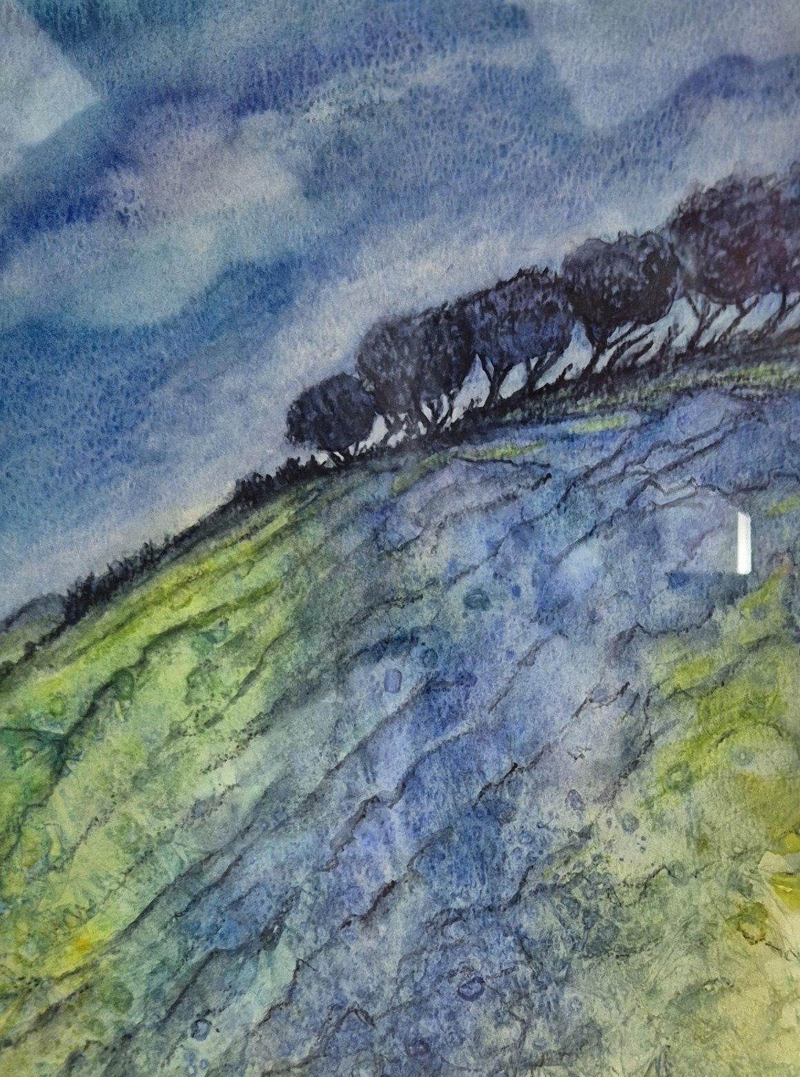 We continue with the Runner-up of the Jubilee Trophy for Best Painting in Any Other Medium - "Gregg's Hill" by Valarie Duncan

Our exhibition remains open to the public free of charge until Monday 25th August. Please come along!