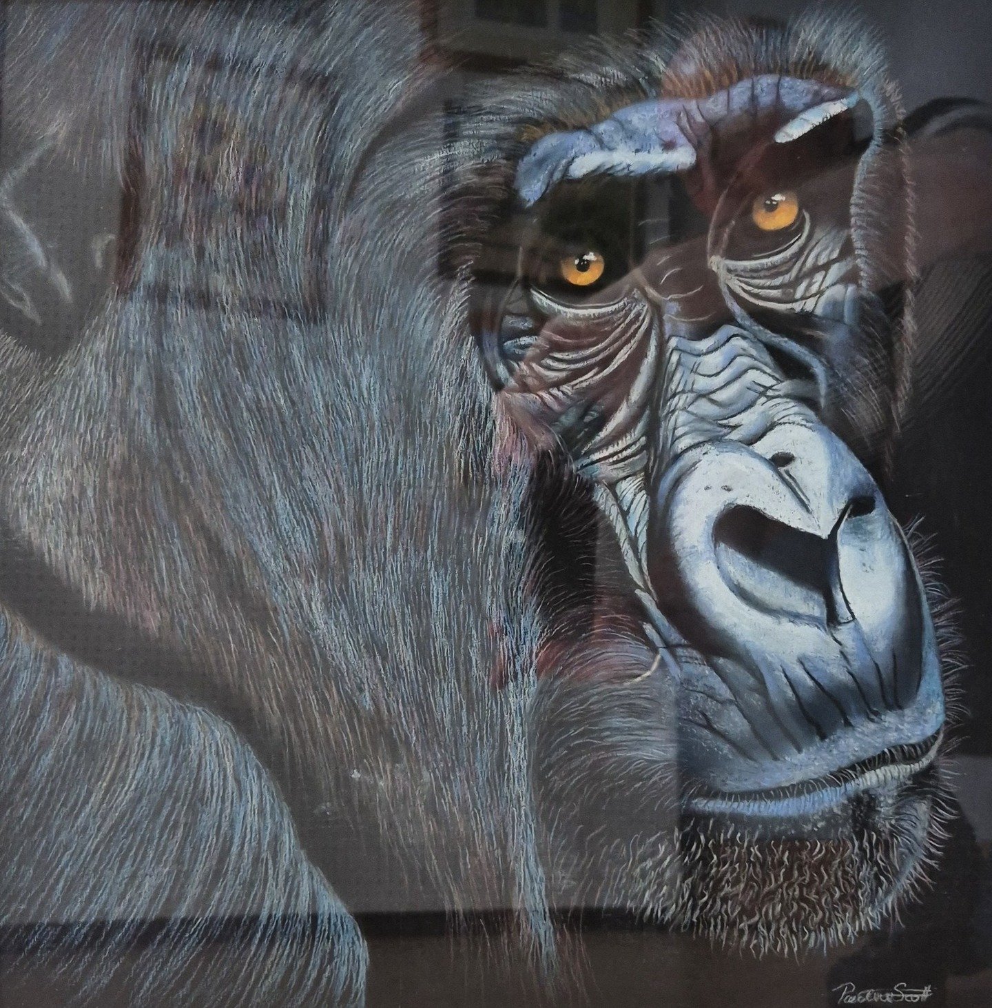 We continue with the Courtice Millennium Plate for Best Pastel - Winner for "Wise One", Pauline Scott.

The exhibition at Greyfriars Community Centre in Ringwood runs until 25th August. Entry is free, please come along - we have over 400 ex