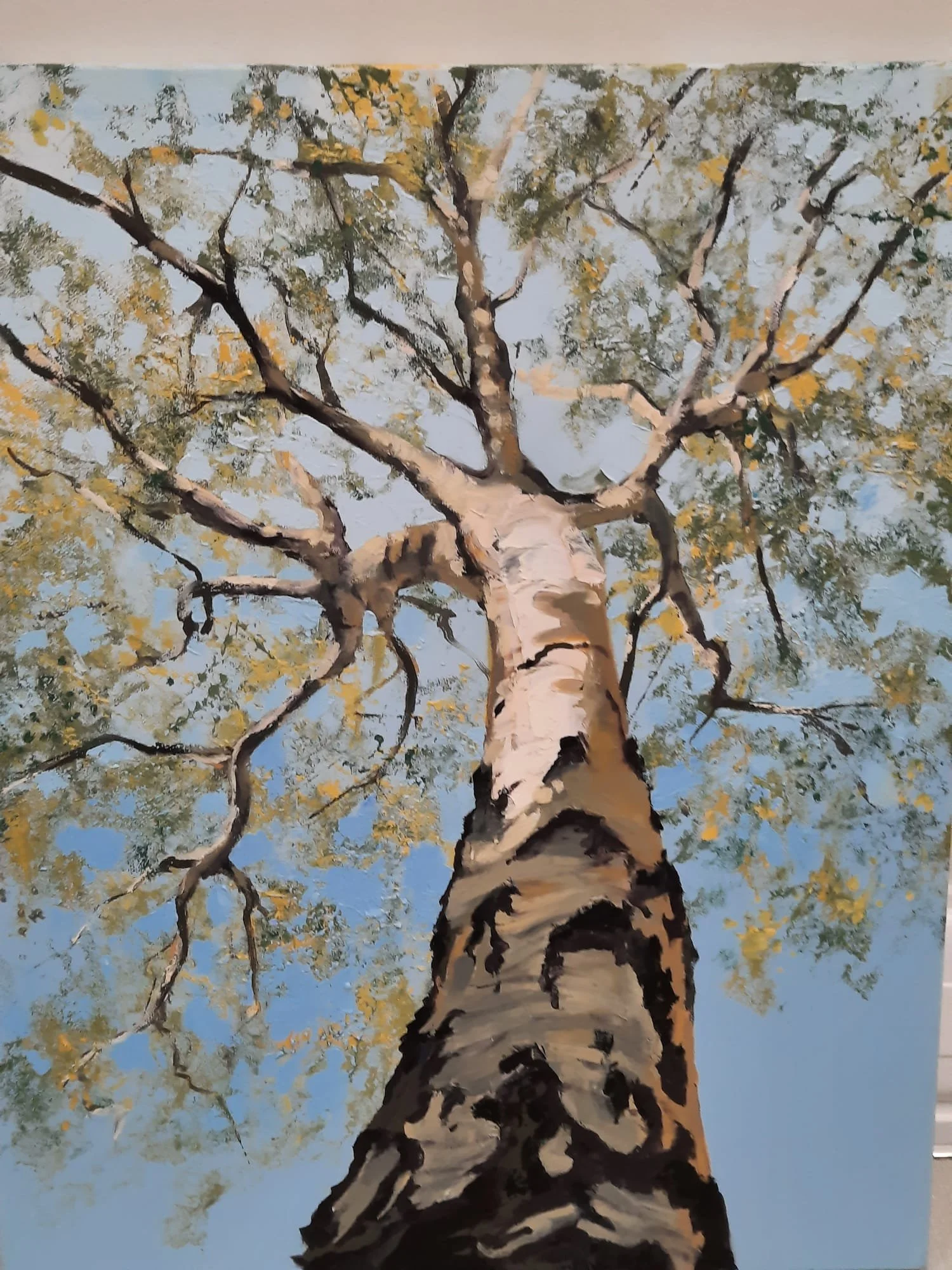 WhatsApp Image 2026-03-17 at 21.26.26-2.jpeg