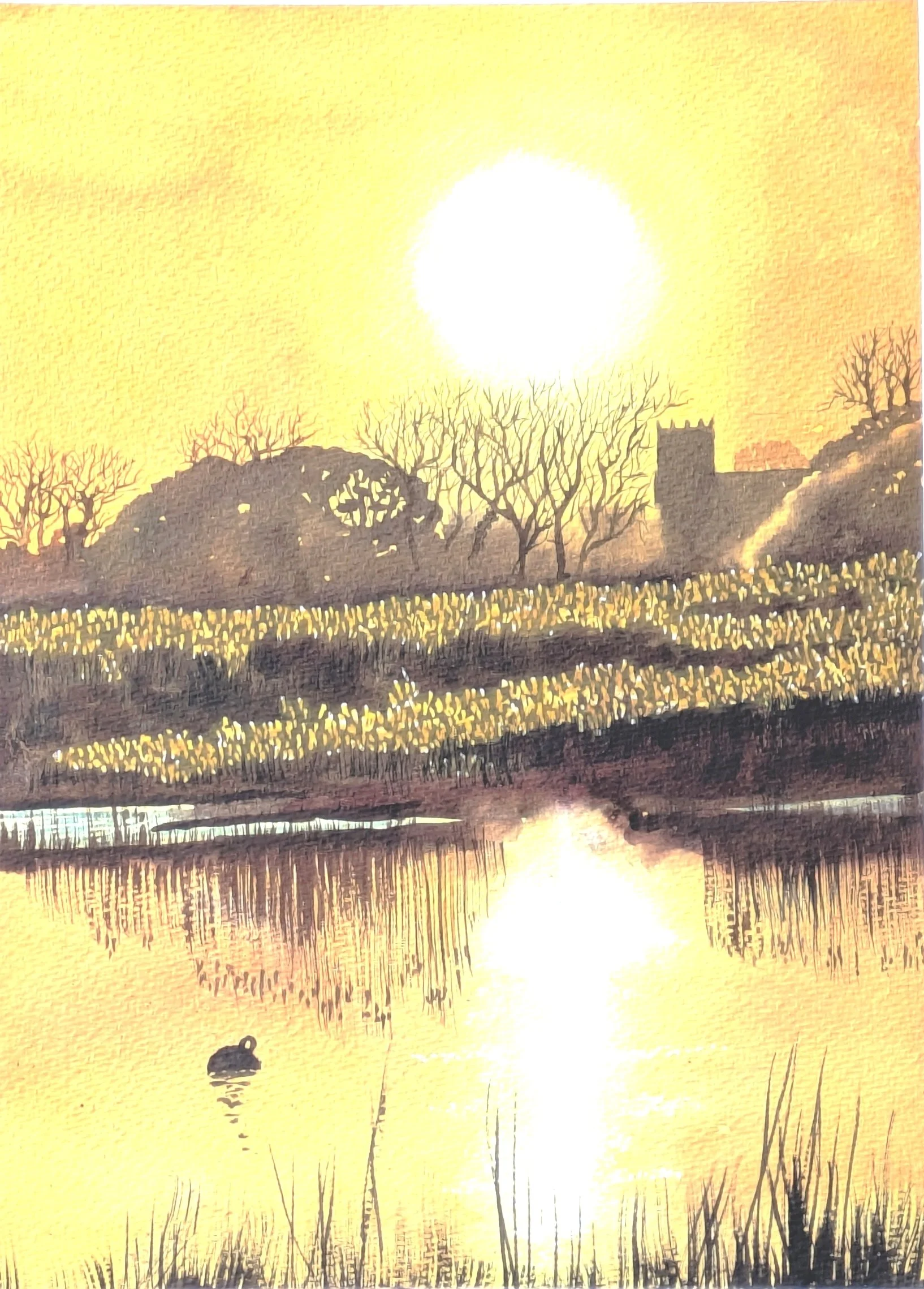 "Stanpit Marsh Sunset" by John Collins