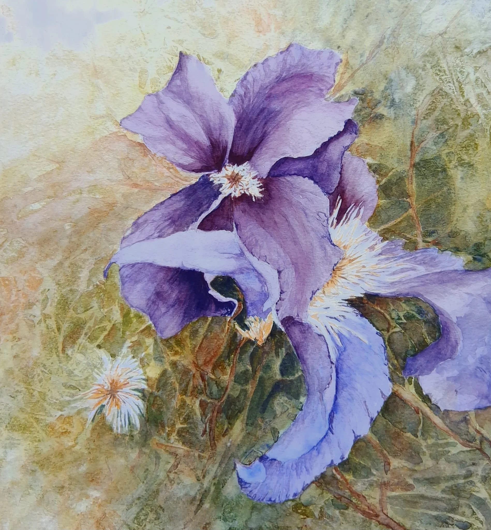 Runner-Up - Greyfriars Trophy for Best Watercolour, "Clematis" by Jen Oulton