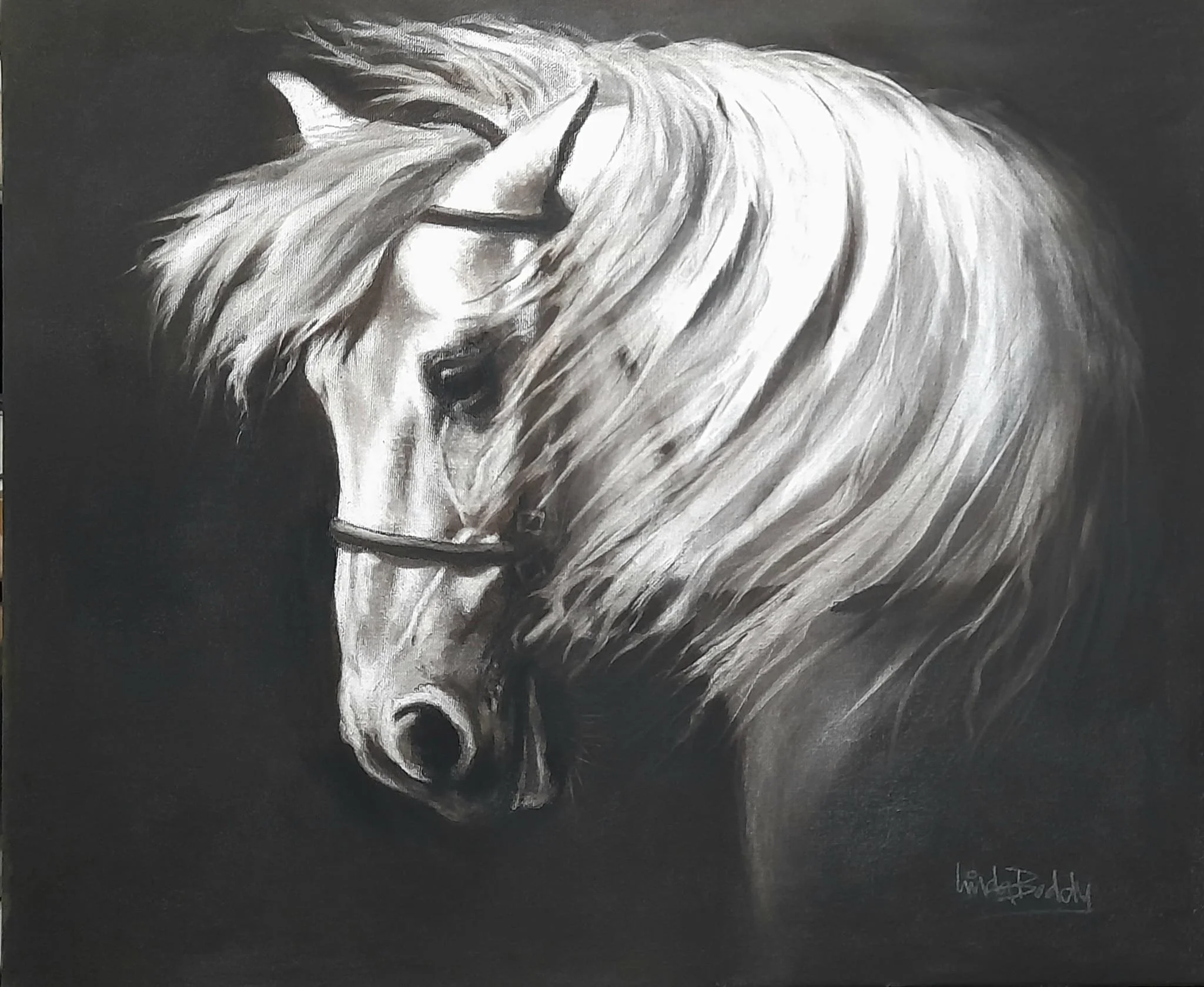 "Behold a Pale Horse" by Linda Boddy