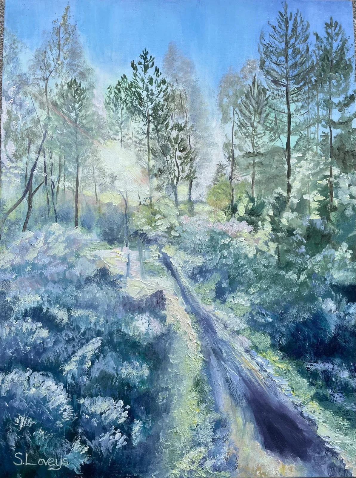 "Winter Sun in Ringwood Forest" by Sally Loveys