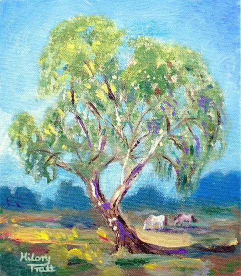 "New Forest , Silver Birch" by Hilary Tratt