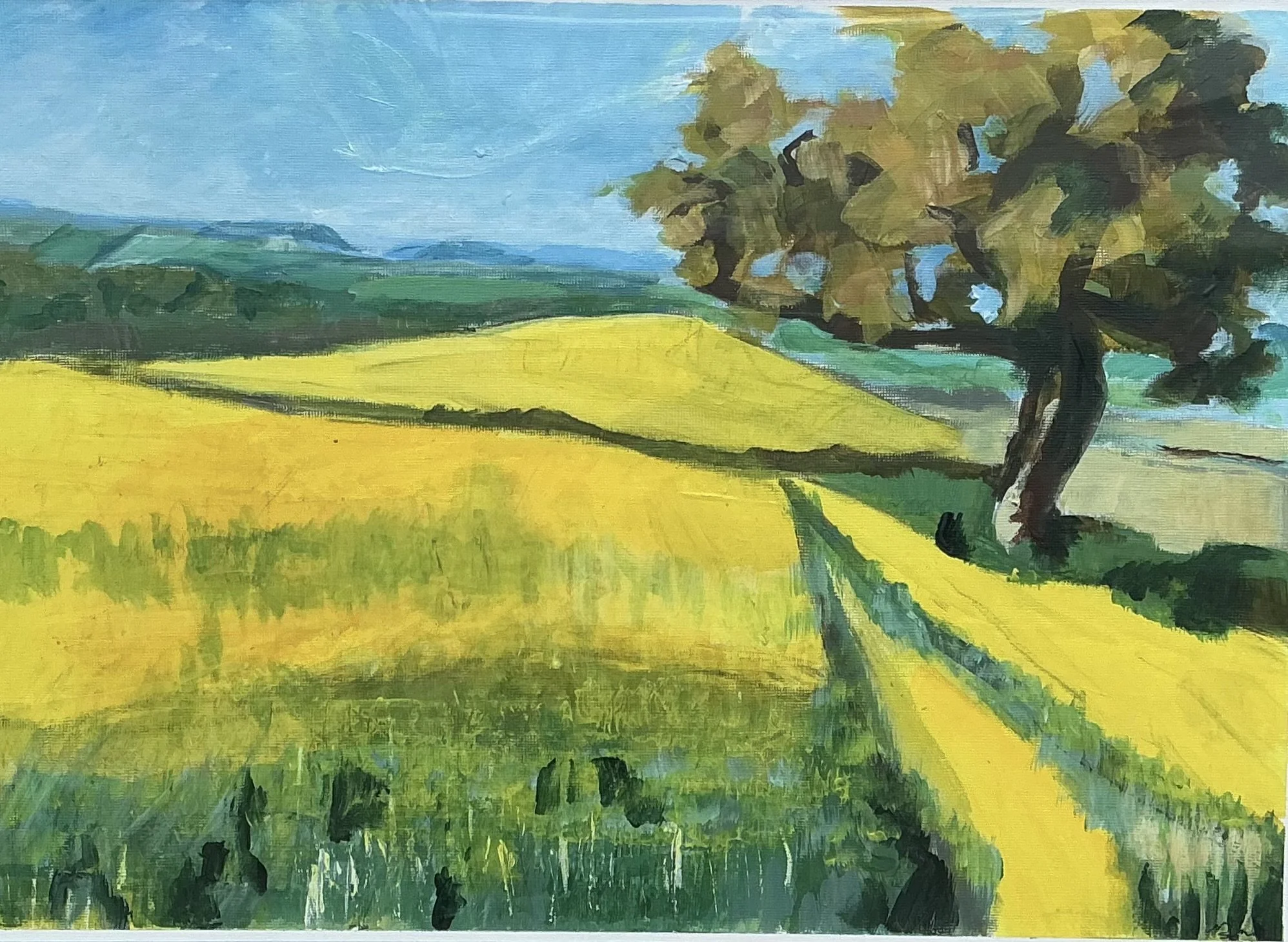 "Hereford Field" by Bernard Mathyss