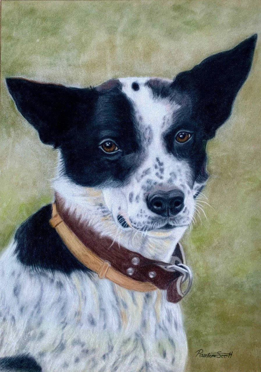 'Dot' by Pauline Scott