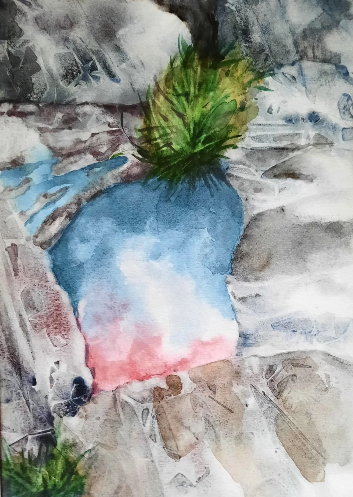 "Rockpool Norway 3" by Ann Humphrey