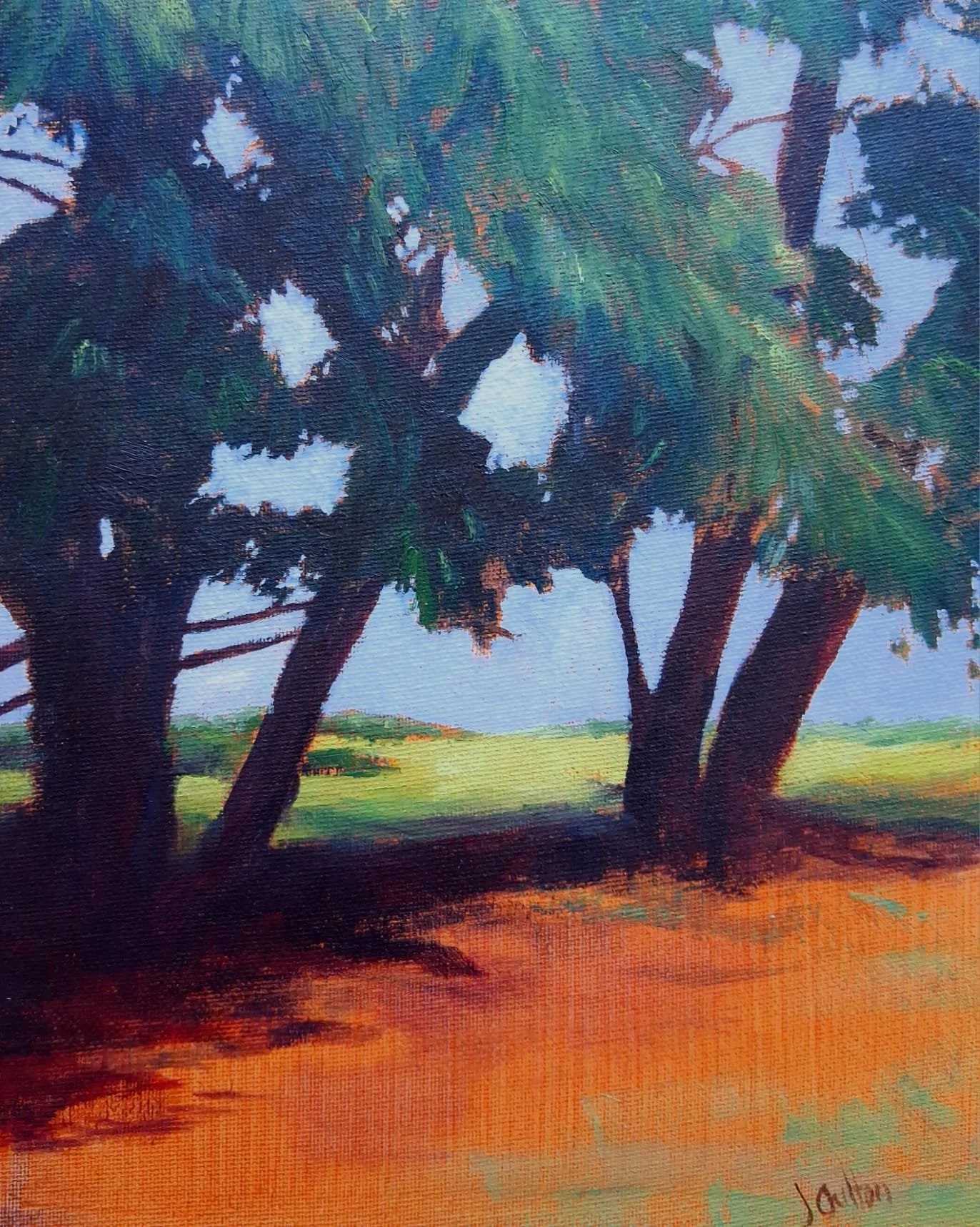 "A Shady Place" by Jen Oulton