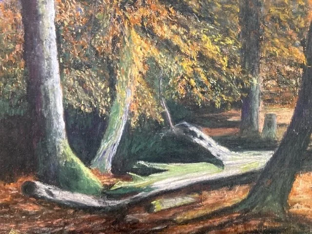 "The Fallen Tree" by Liz Hatch