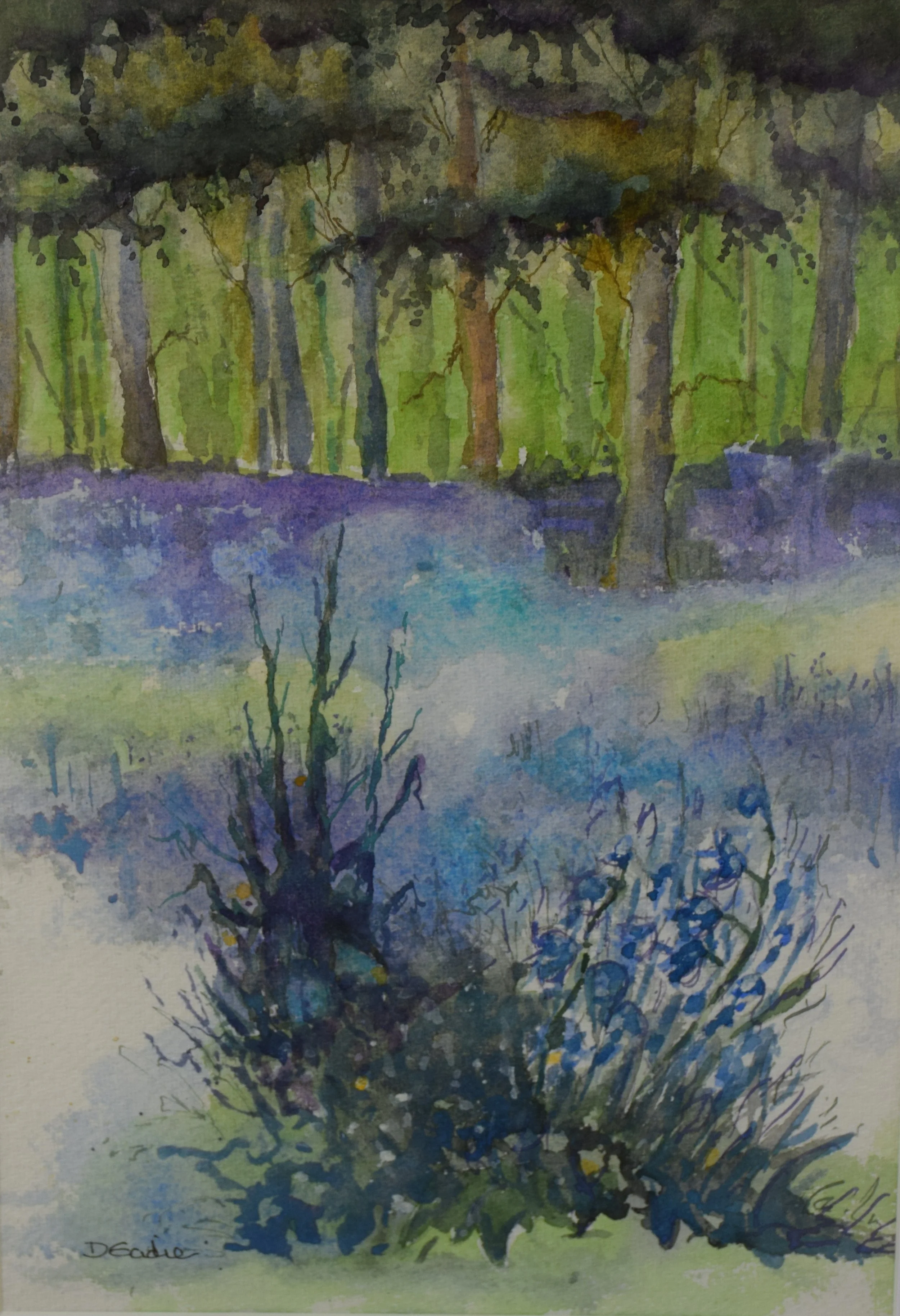 "Bluebell Time" by Dawn Eadie
