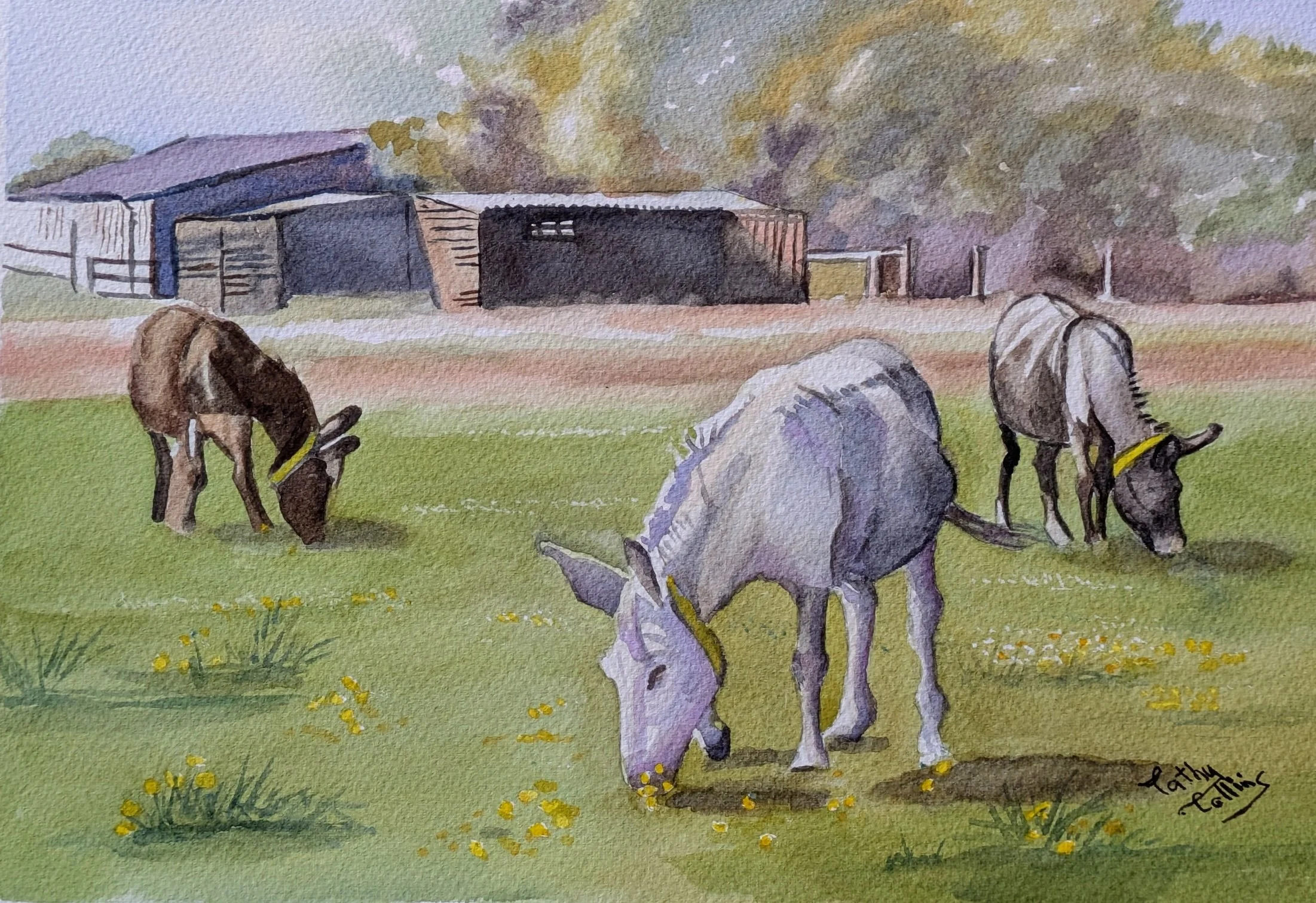 "Sidmouth Donkey Sanctuary" by Cathy Collins
