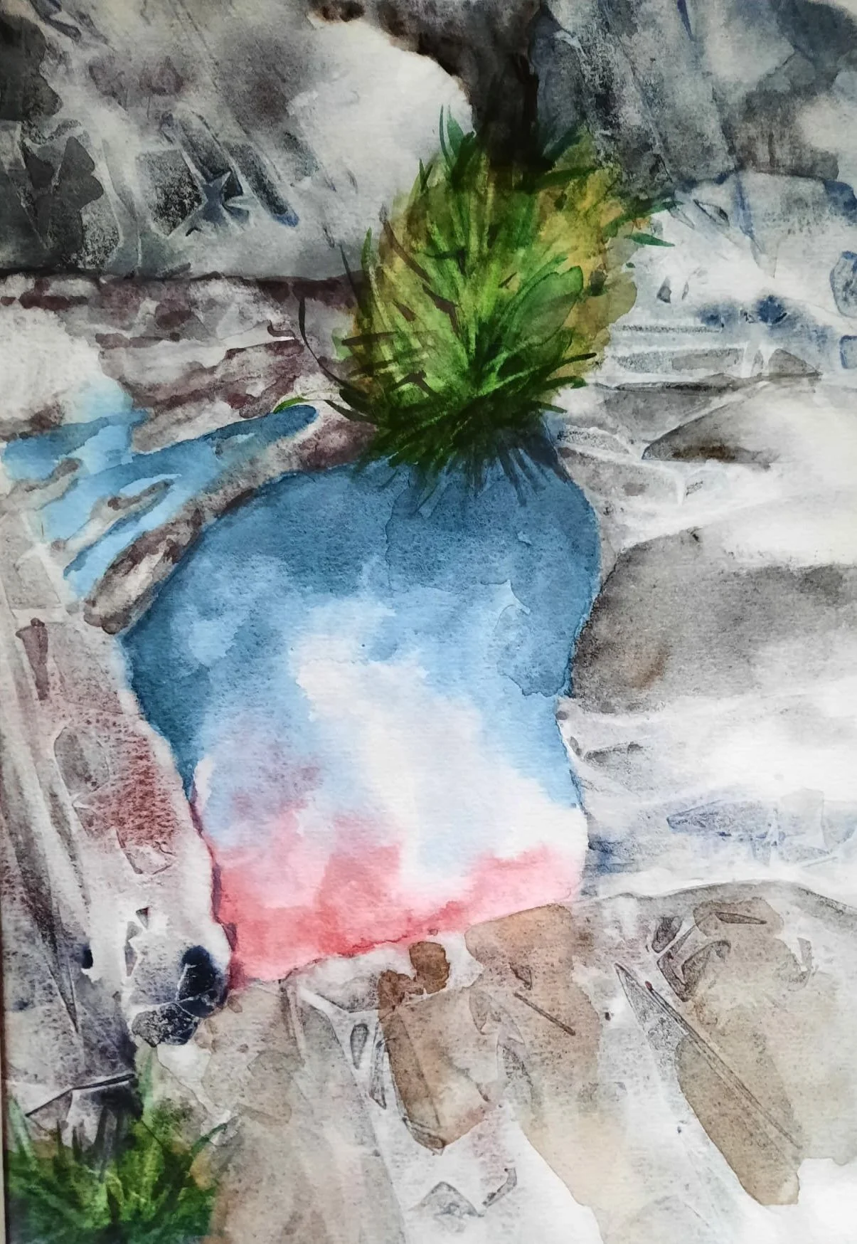 "Rock Pool 1" by Ann Humphrey