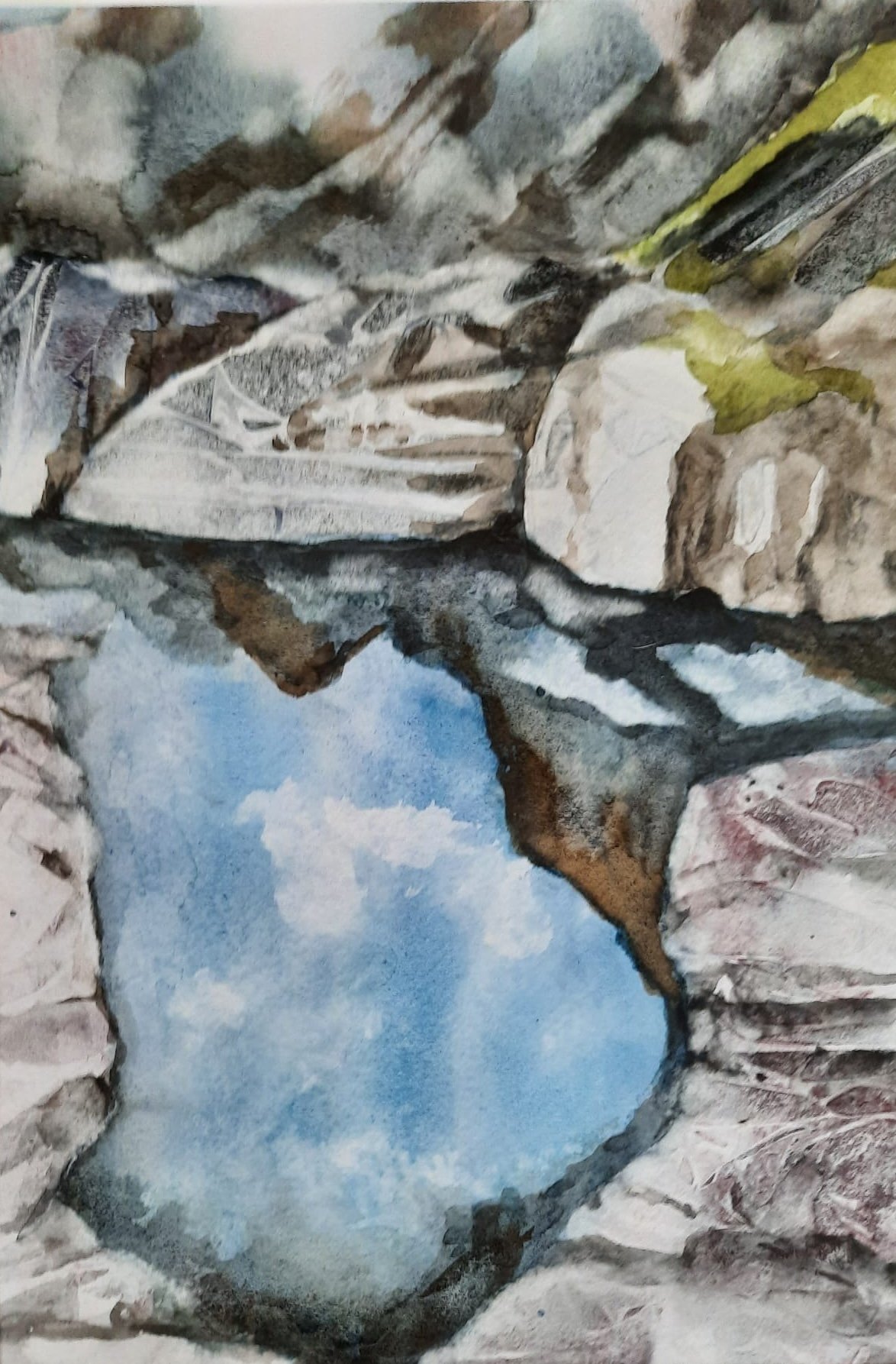 "Rock Pool 2" by Ann Humphrey